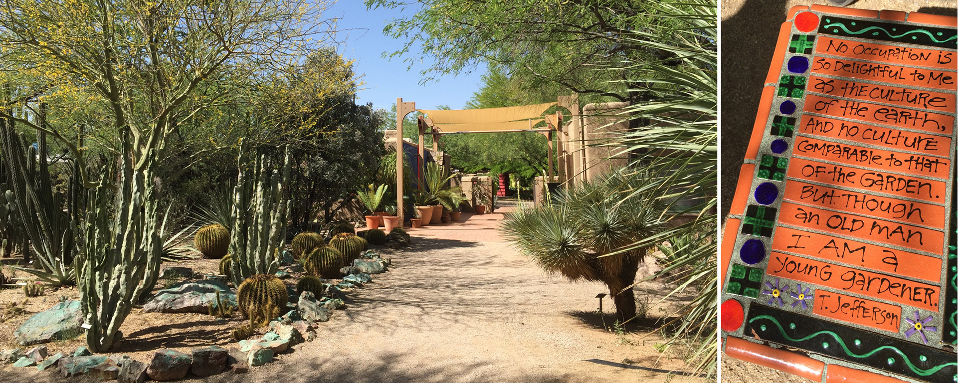 Terra Kicks Off Tucson Botanical Gardens Master Plan Terra