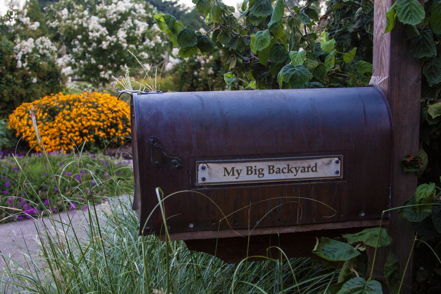MBBY_StephanieCosby_MyBigBackyard.jpg