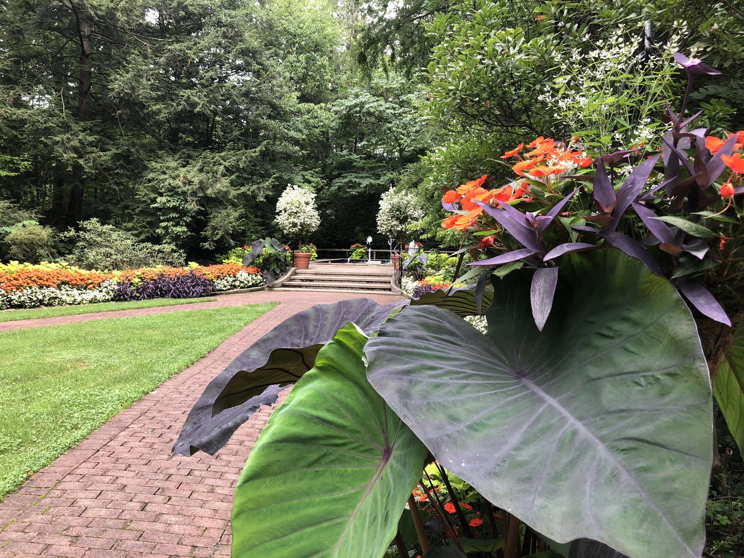allee and fountain.jpg