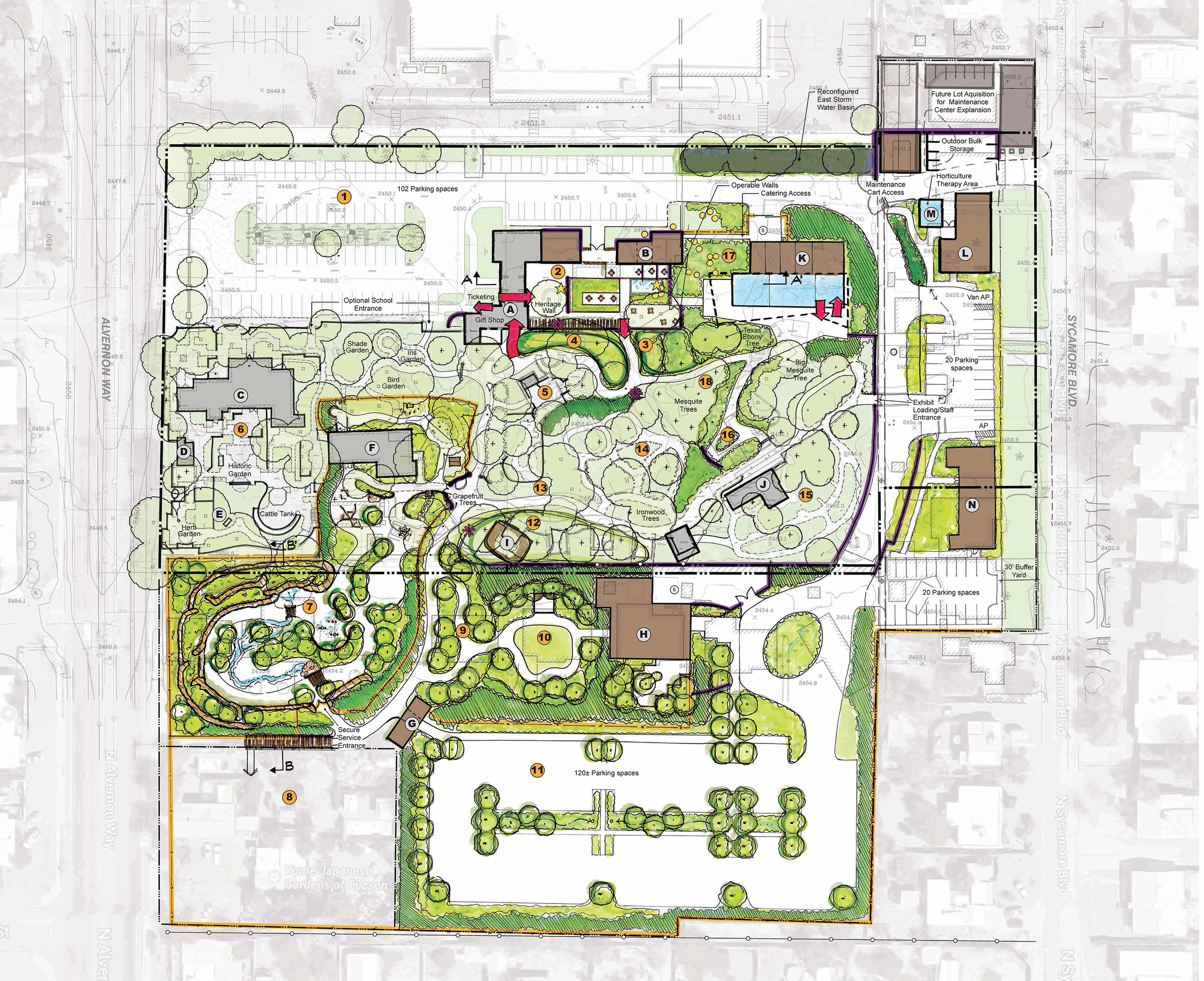 Tucson Botanic_Master Plan_30sc 2.jpg