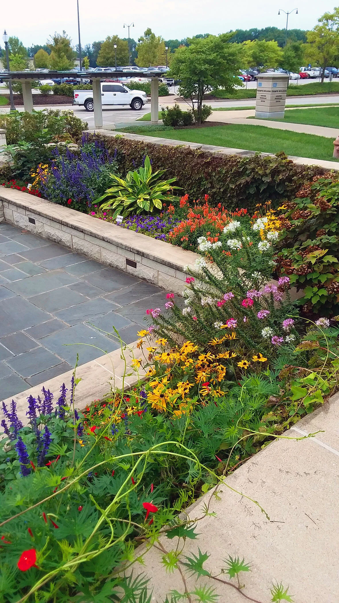kingwood landscape and design on News Terra Design Studios Llc