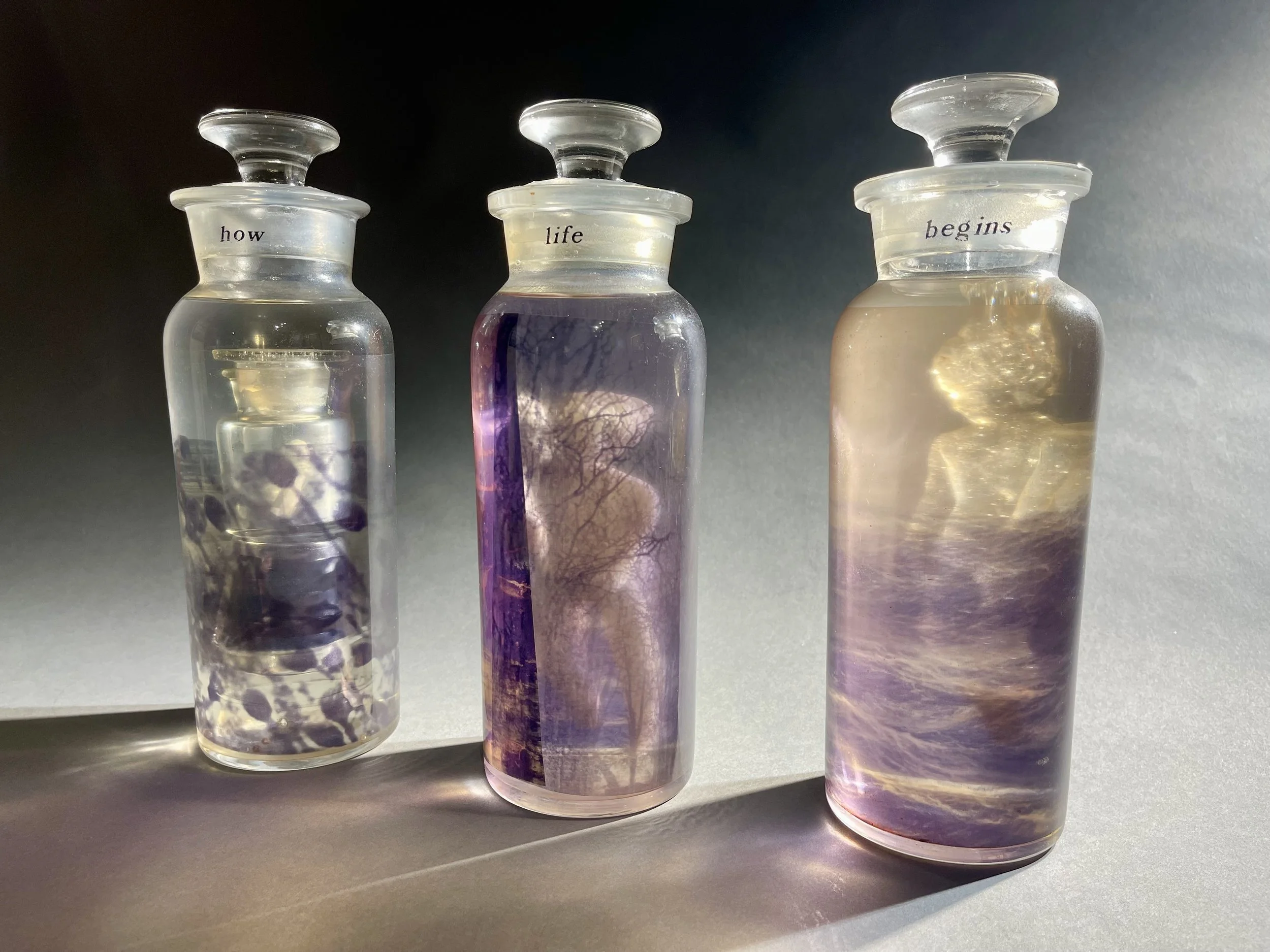 Sibylle Peretti, How Life Begins , Liquid filled Blown Glass with Photo Transparencies and Cast Glass, 10.5 × 3.5 × 3.5” $9,500