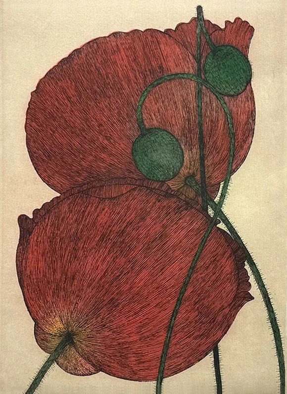   Four Poppies - 1987 ,  Colored Etching,  21.75” × 18.5”  framed ,  $1575 