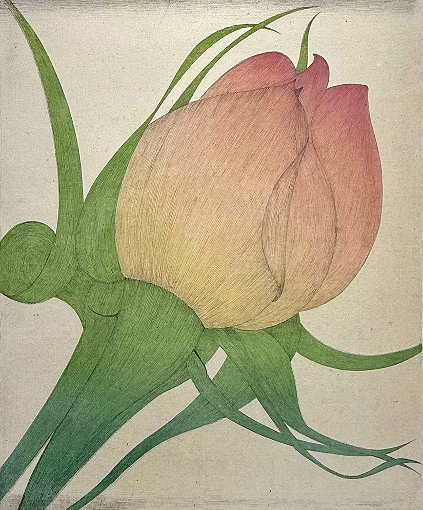   Three Roses - 1984 ,  Colored Etching,  32.75” × 29”  framed ,  $600 