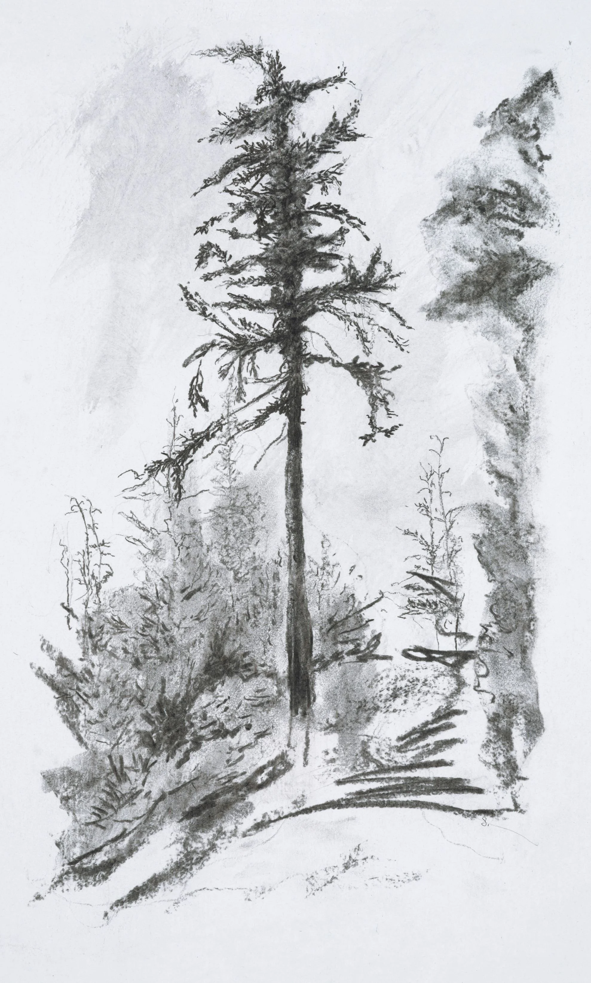   Go West , Giclée Print on Hahnemühle Etching Paper, 30 × 19” Framed: 37 × 25”  $750 