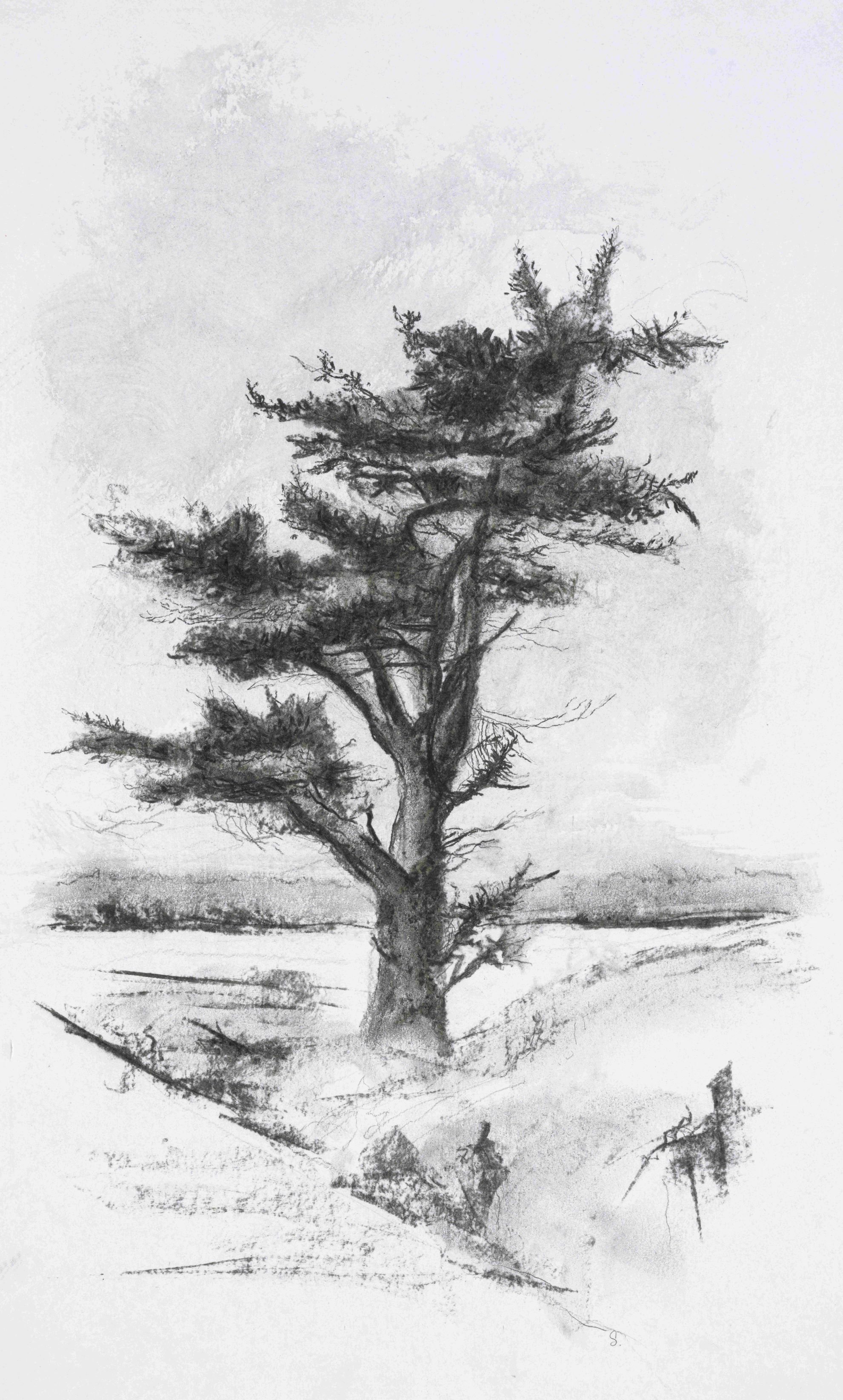   Resilient , Giclée Print on Hahnemühle Etching Paper, 30 × 19” Framed: 37 × 24”  $750 