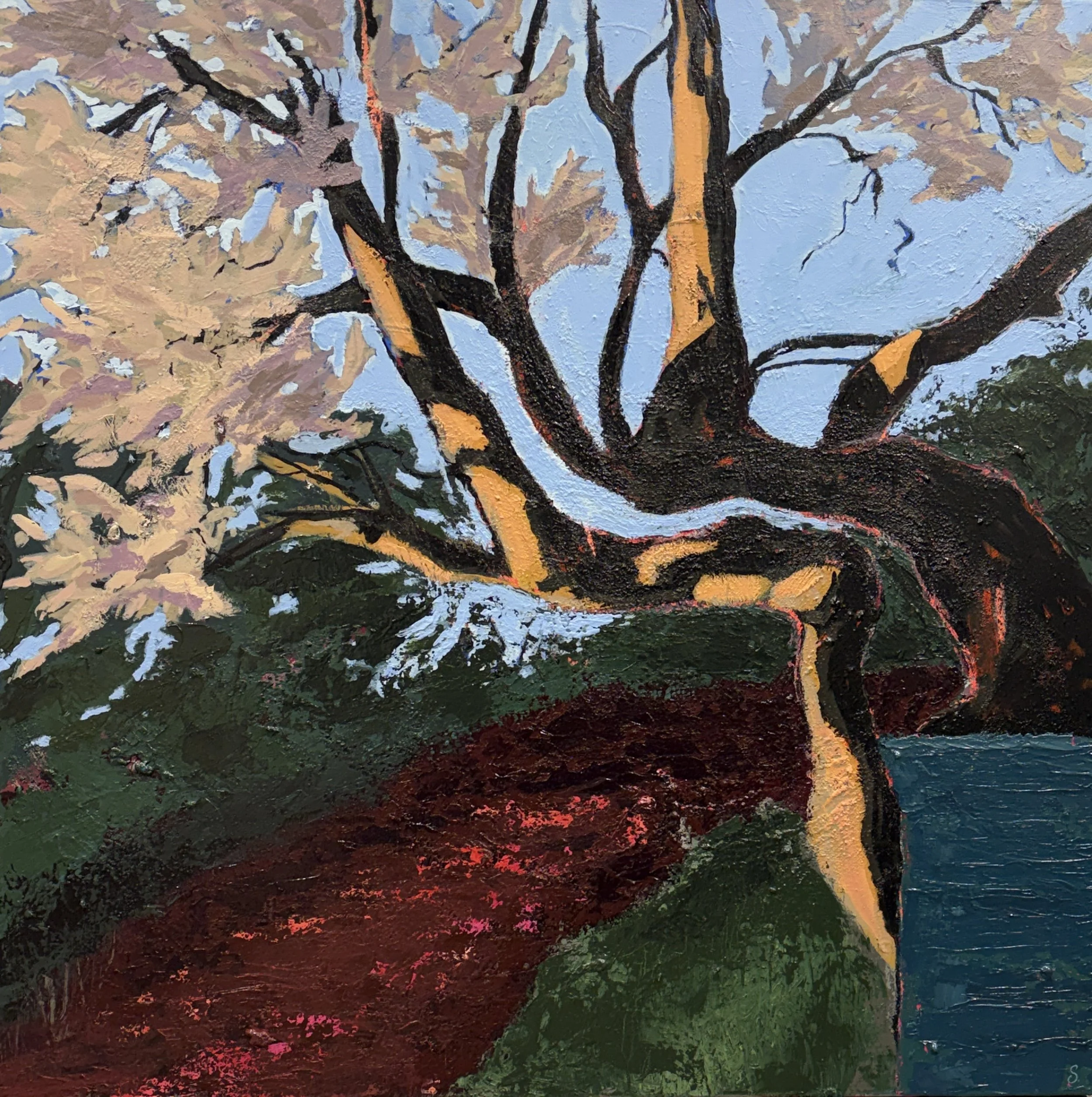   Rooted , Acrylic and Mixed Media on Canvas, 36 × 36 × 2.5”  $1500 