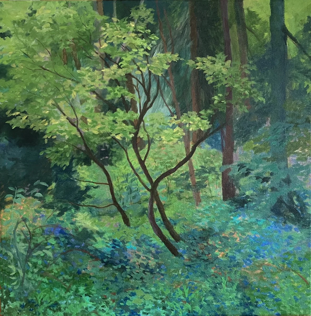   Spring Forest , Suzanne Brooker,  Oil on Canvas, 30” x  30” $2,400 