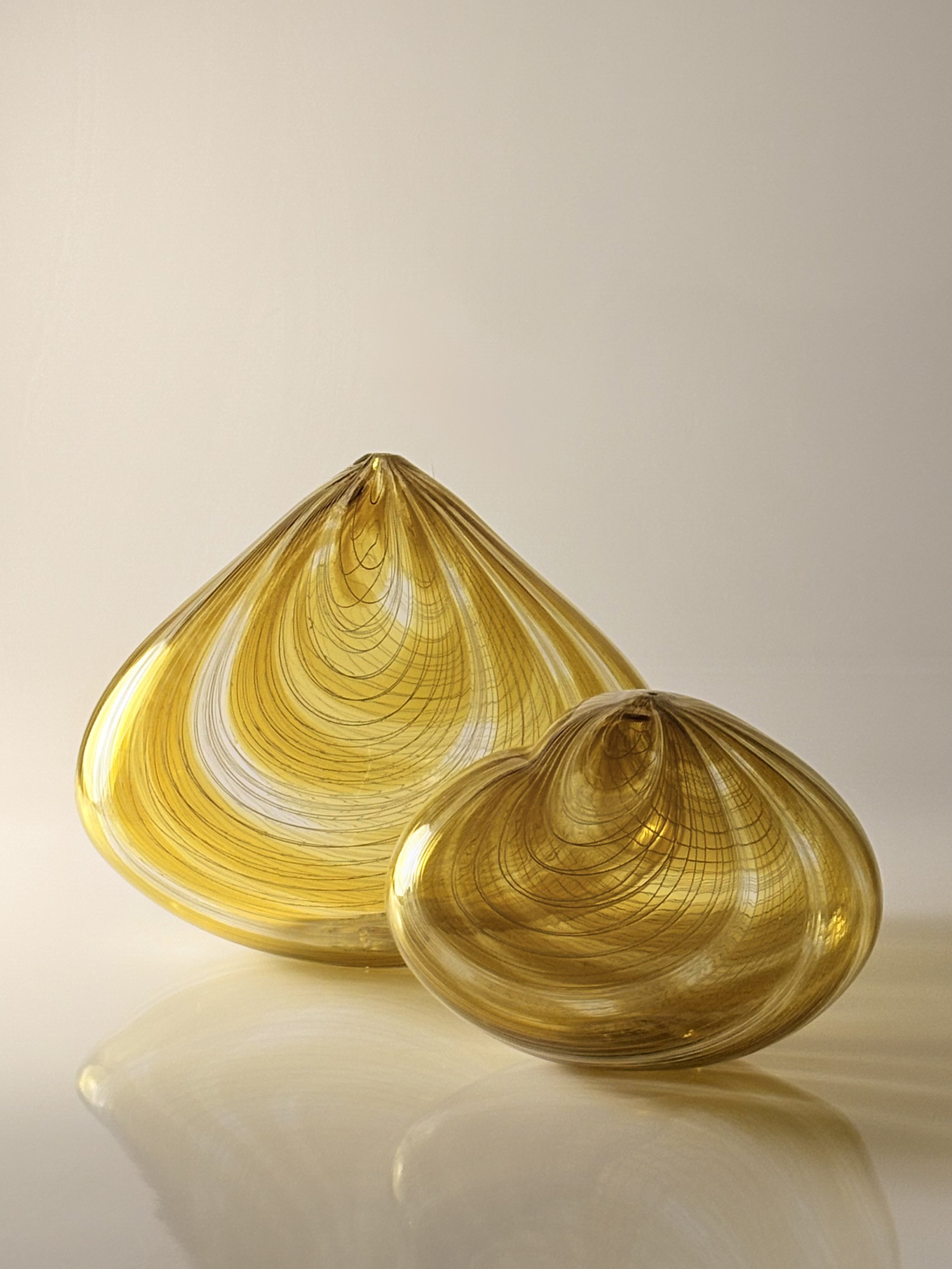   Topaz Seashells , Mikey Cozza,  Blown Glass, 13” x  11” x 5”  (large)  10” x 7” x 5” (small)  $2,000 