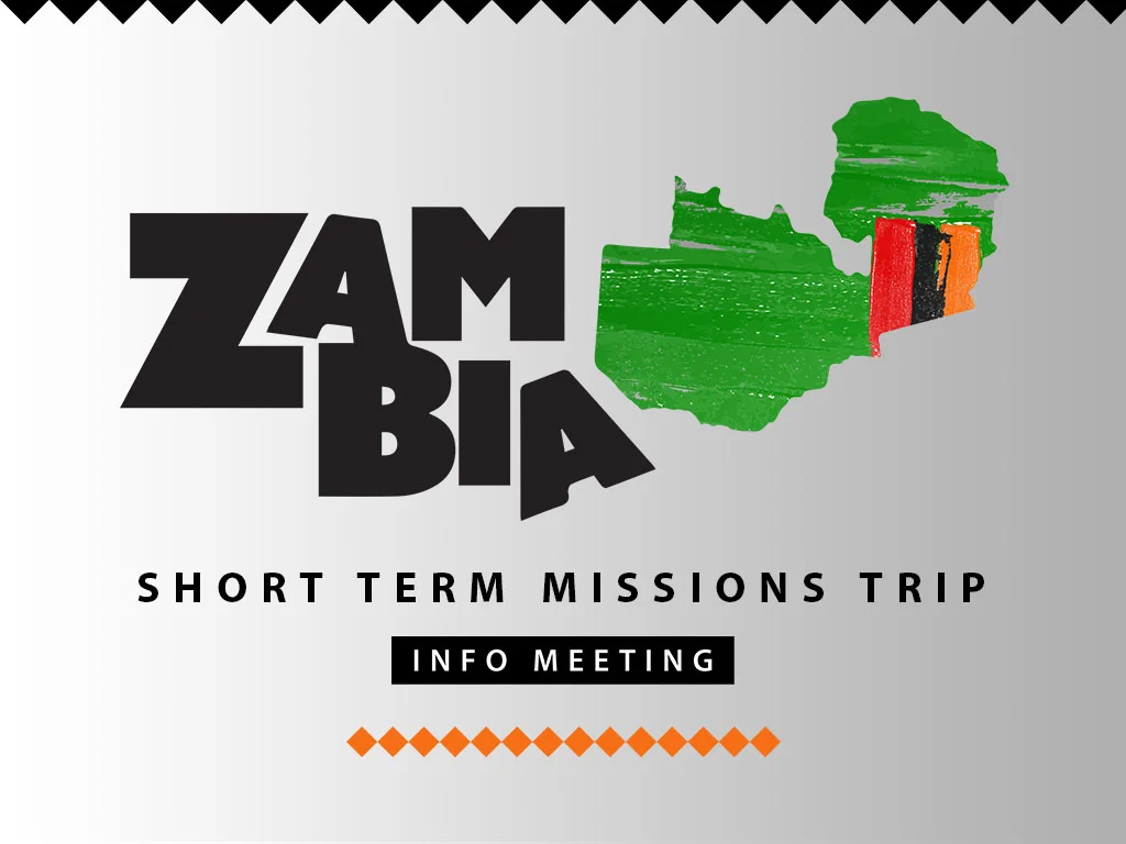 Zambia STM 2019 - Website.jpg