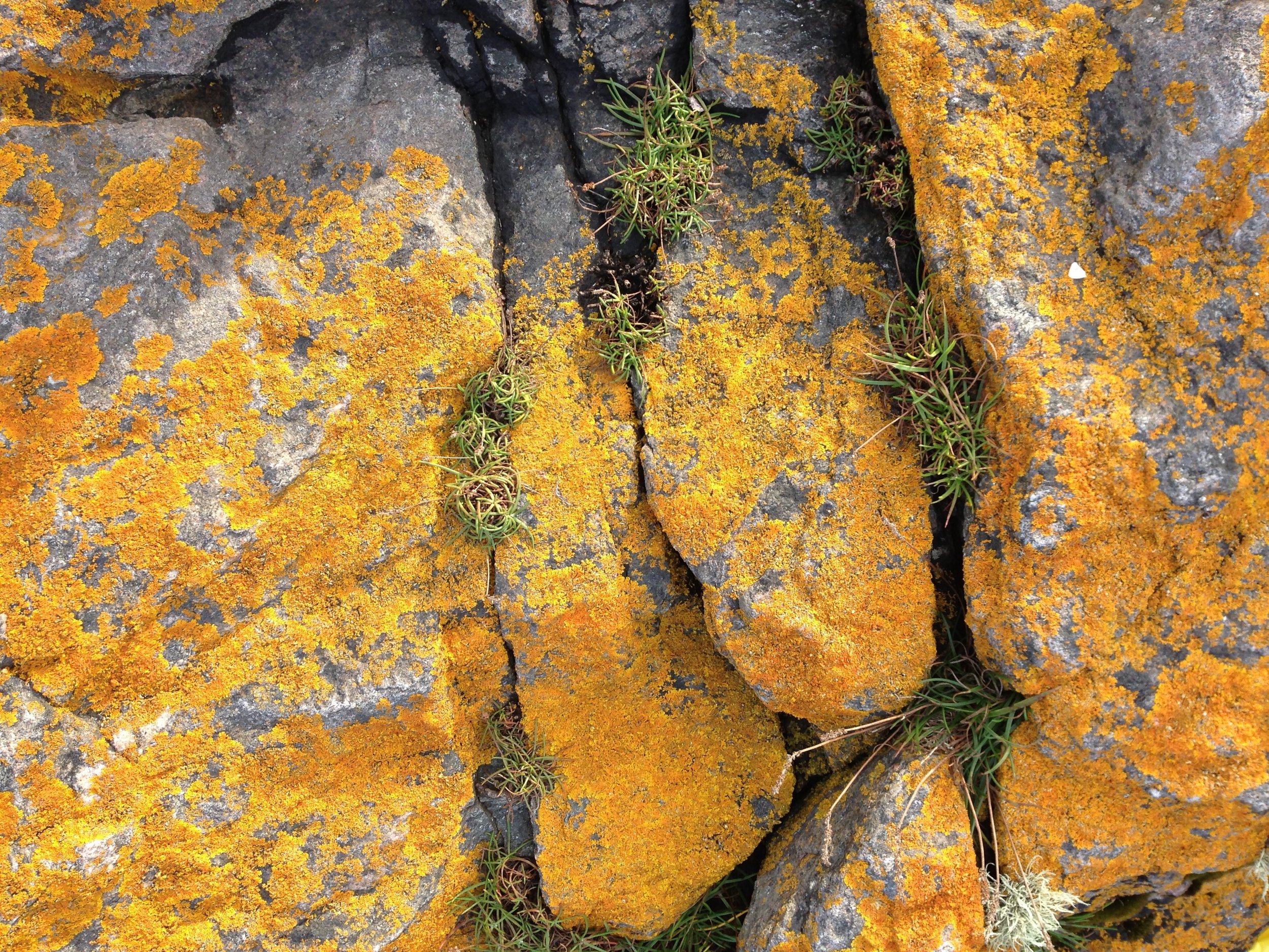 rocks.jpeg