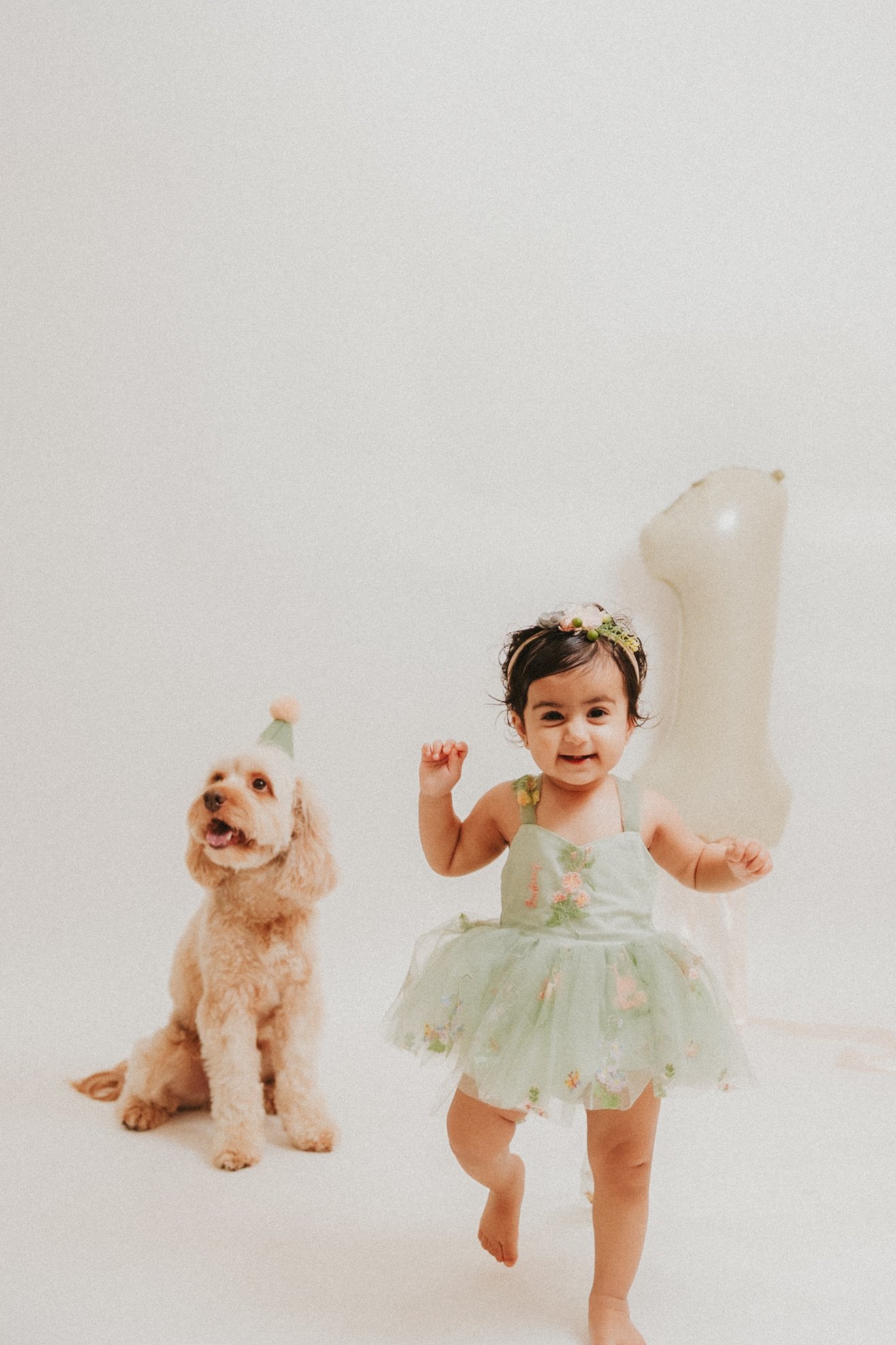 baby and dog aesthetics brampton photographer-5.jpg