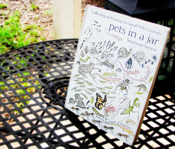 Pets In A Jar 1.jpeg