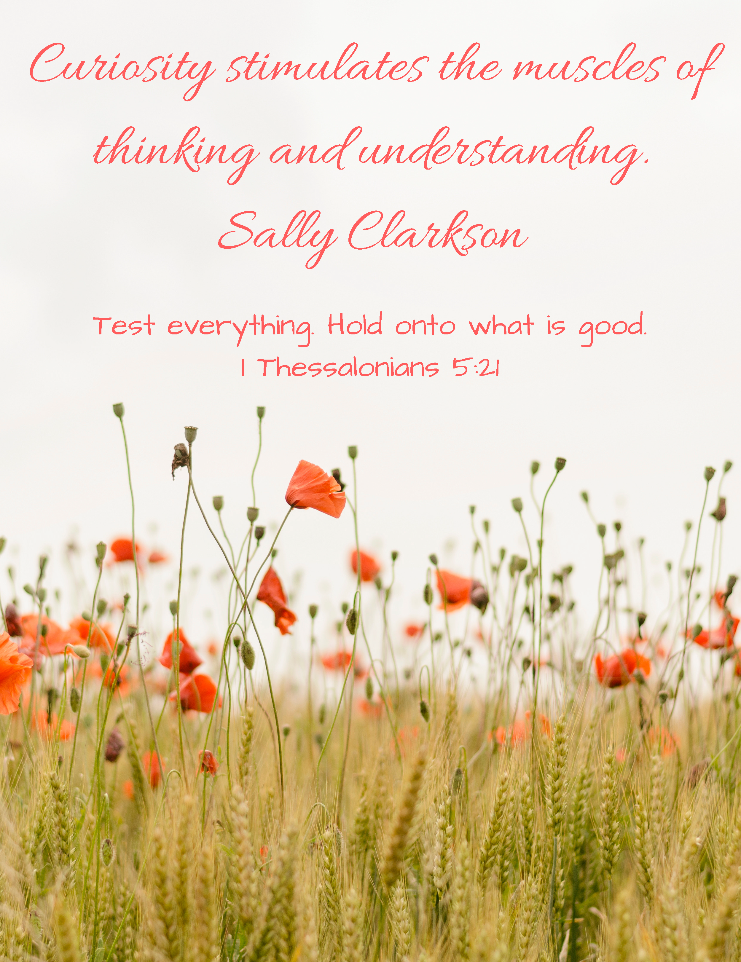 Curiosity+stimulates+the+muscles+of+thinking+and+understanding.+Sally+Clarkson-2.png