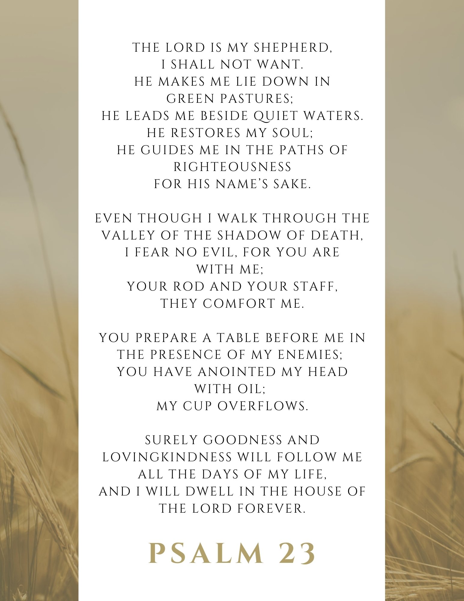 LWS Psalm 23.jpg
