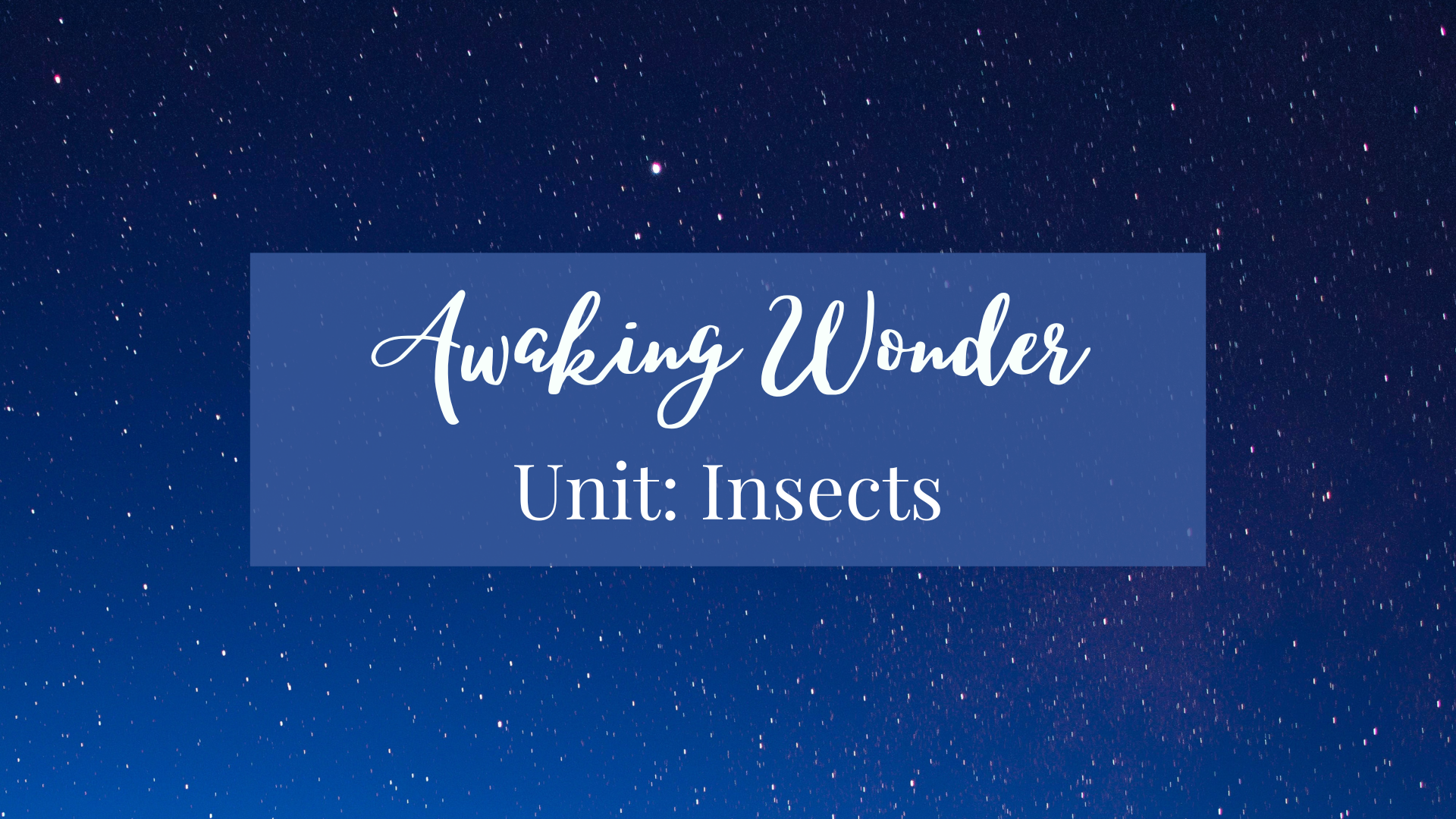 Awaking Wonder Unit: Insects