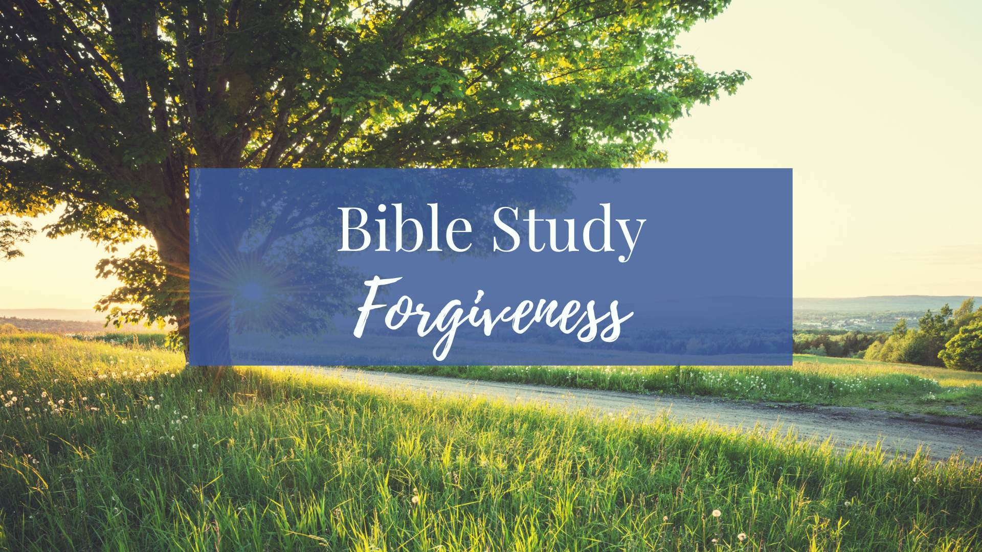 Bible Study: Forgiveness