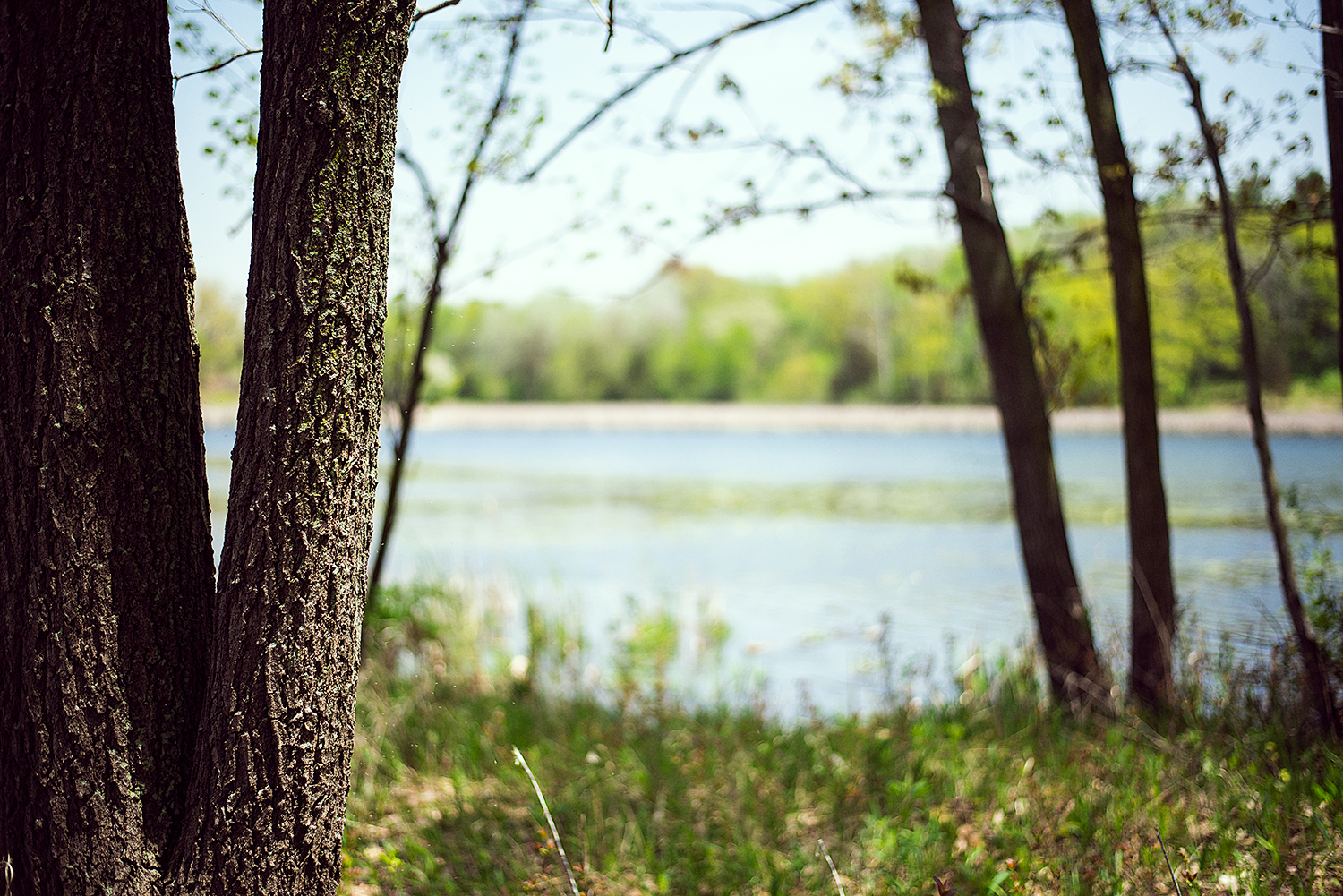 Grass Lake in Nashotah Park