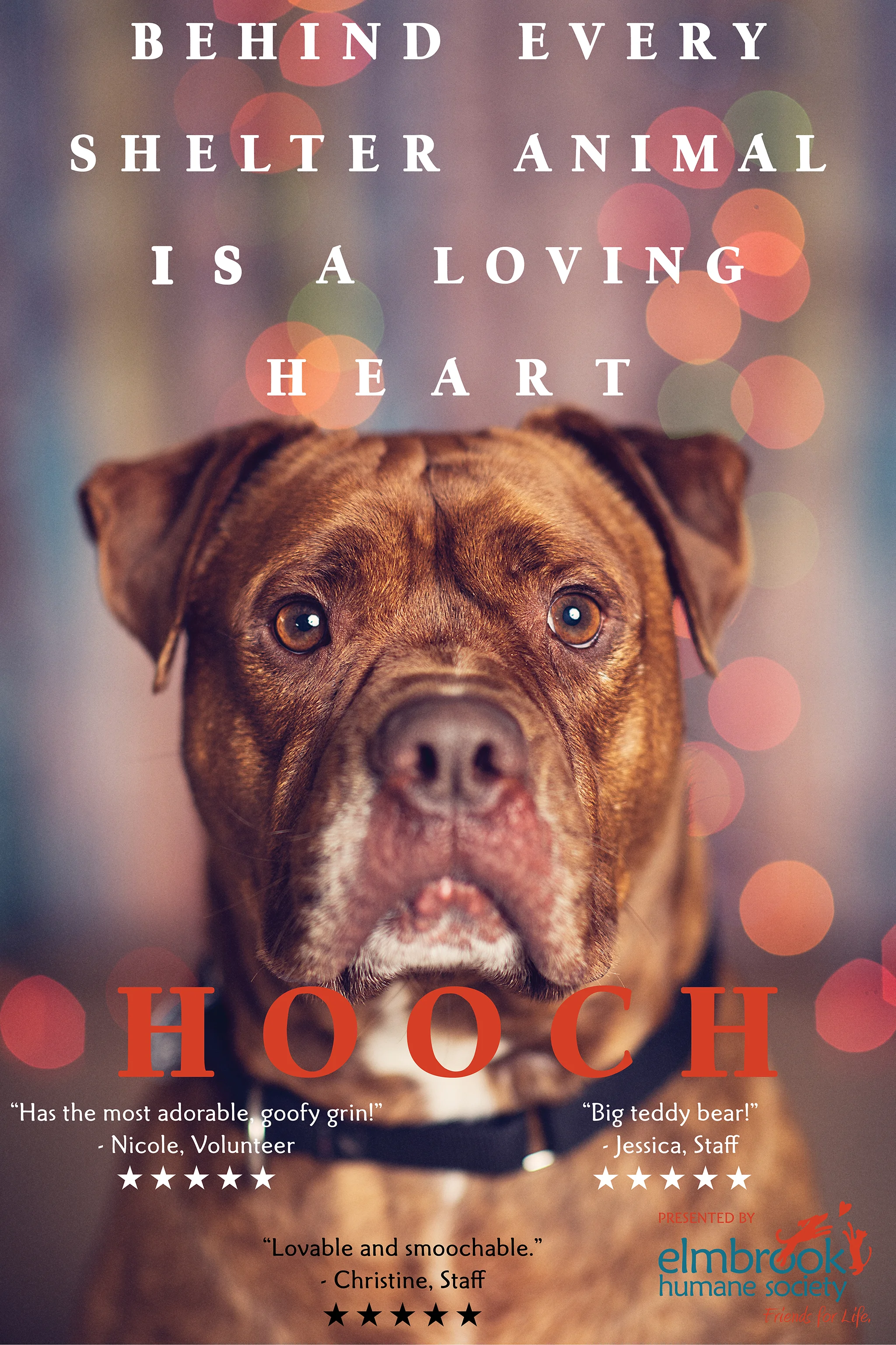 HoochPoster_ErinBeckett_2019-06-12.jpg