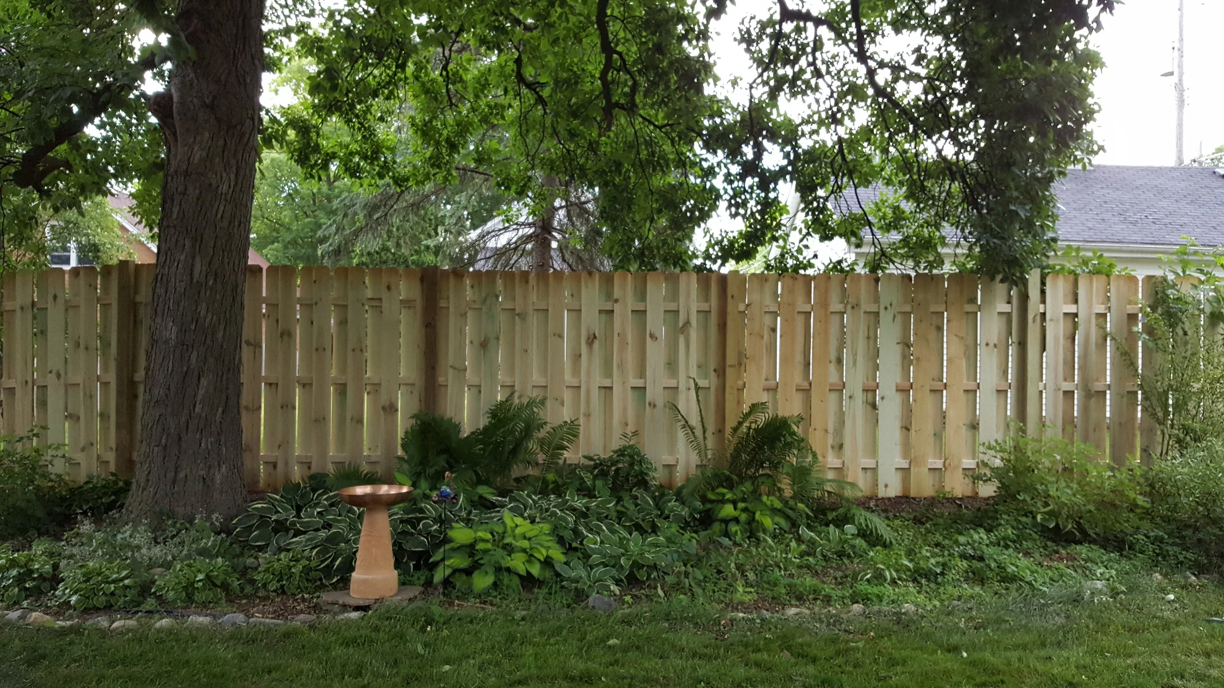 20170620_201002.jpg