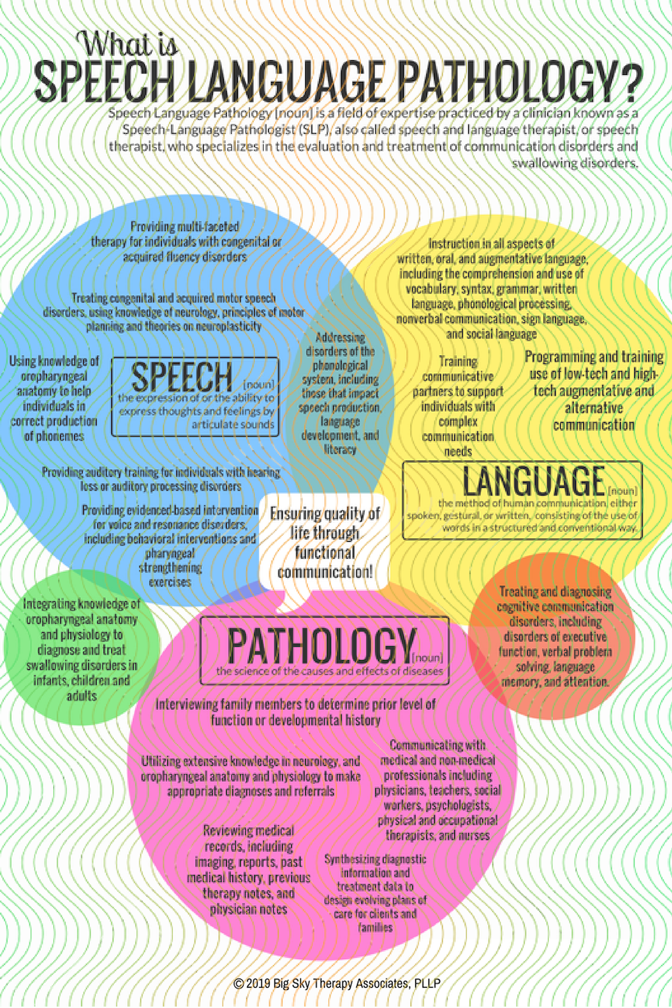 speech pathology meaning in english