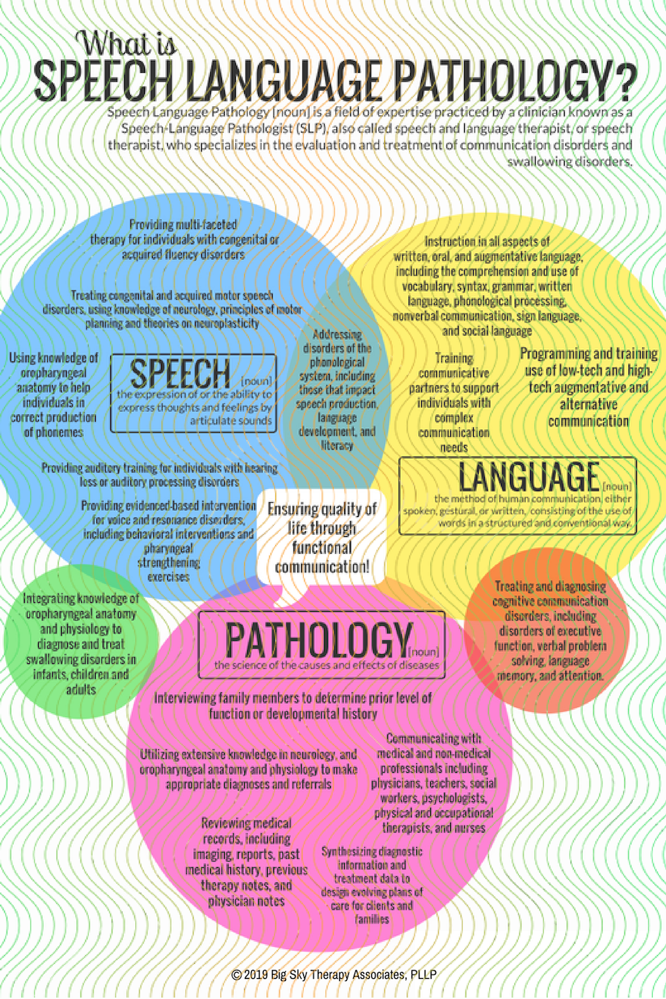 ms speech language pathology