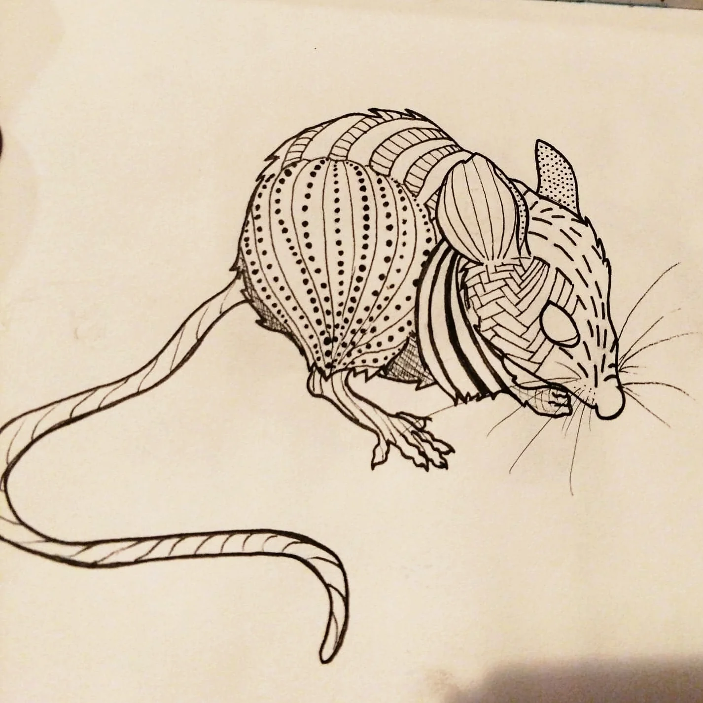 rat.jpg