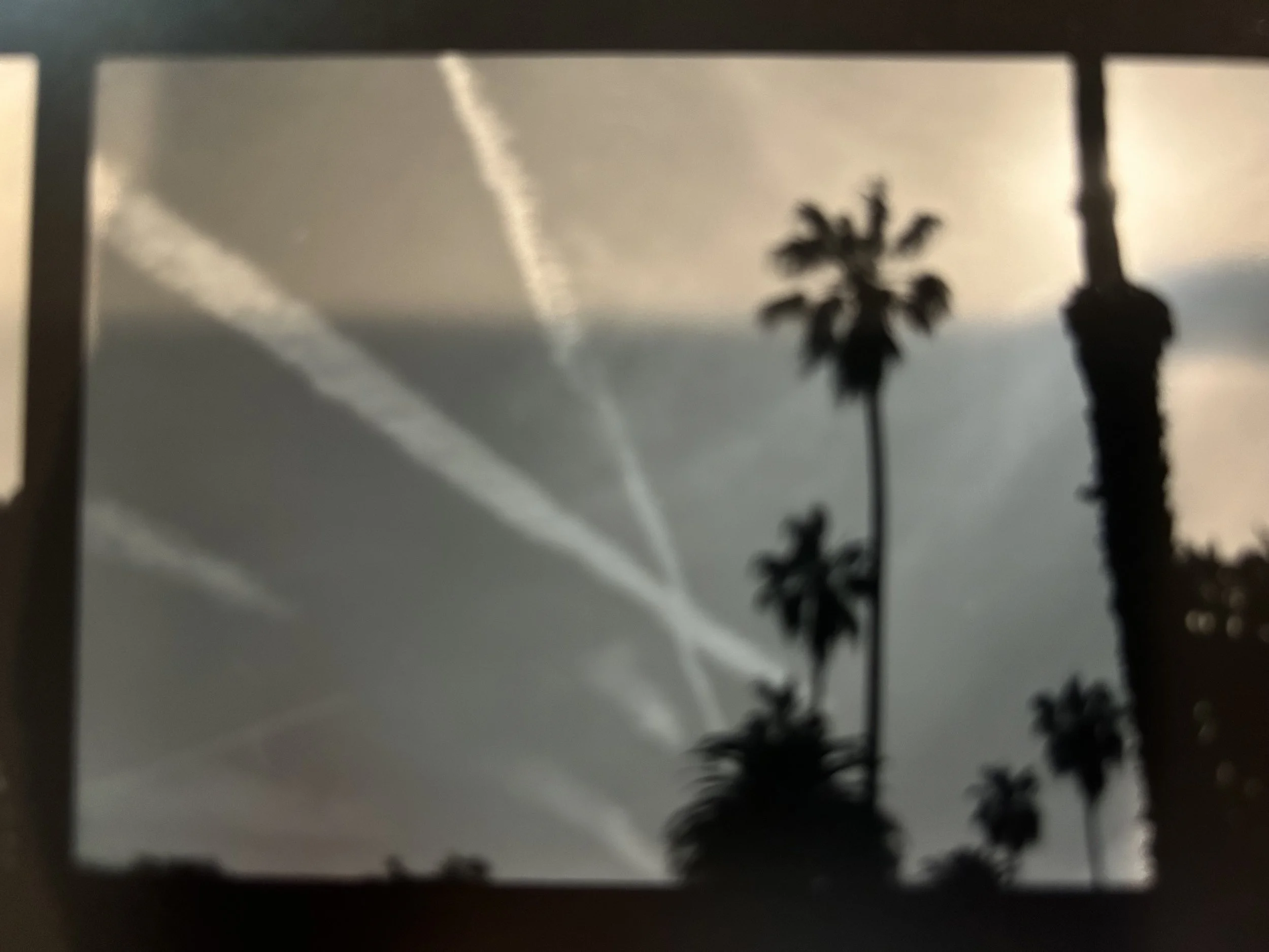 IMG_0066.jpeg