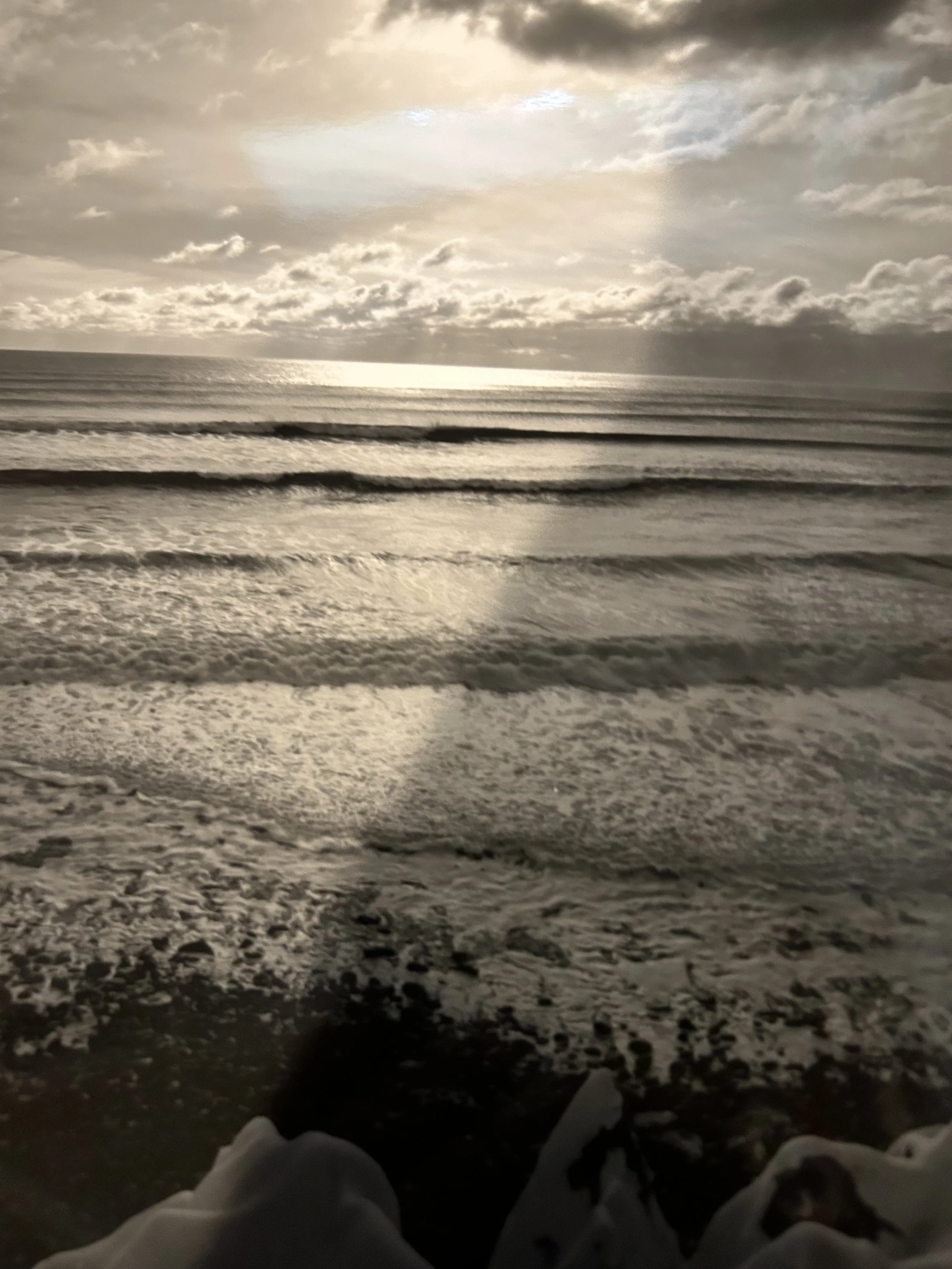 IMG_0171.jpeg