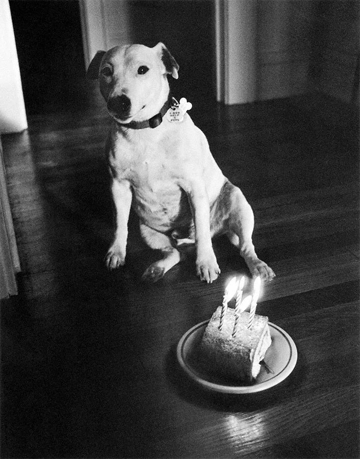 Heinen’s pumpkin roll for his fifth birthday.