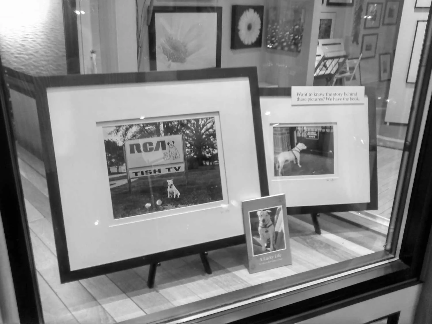 Framed pix.jpg