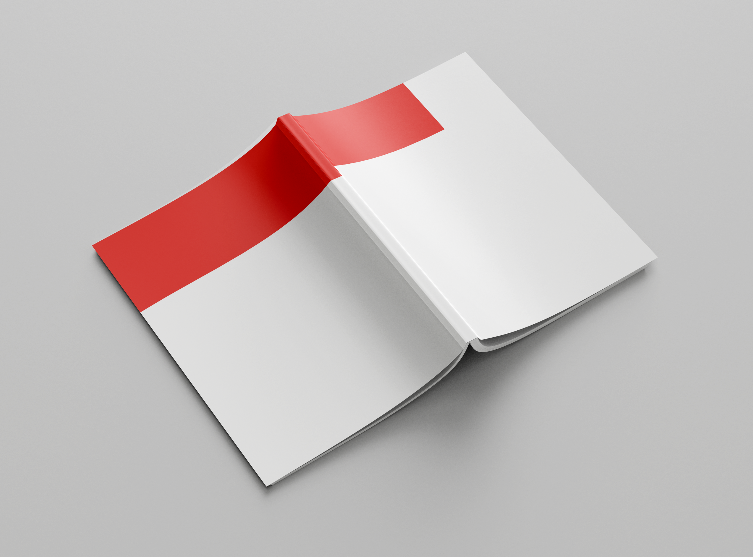 cover_book_mockup_web.png