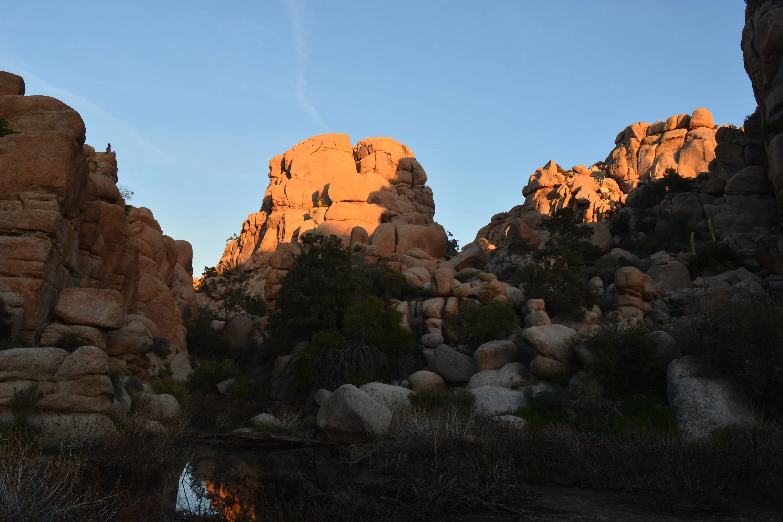 Lincoln_Sitting Shade.JPG