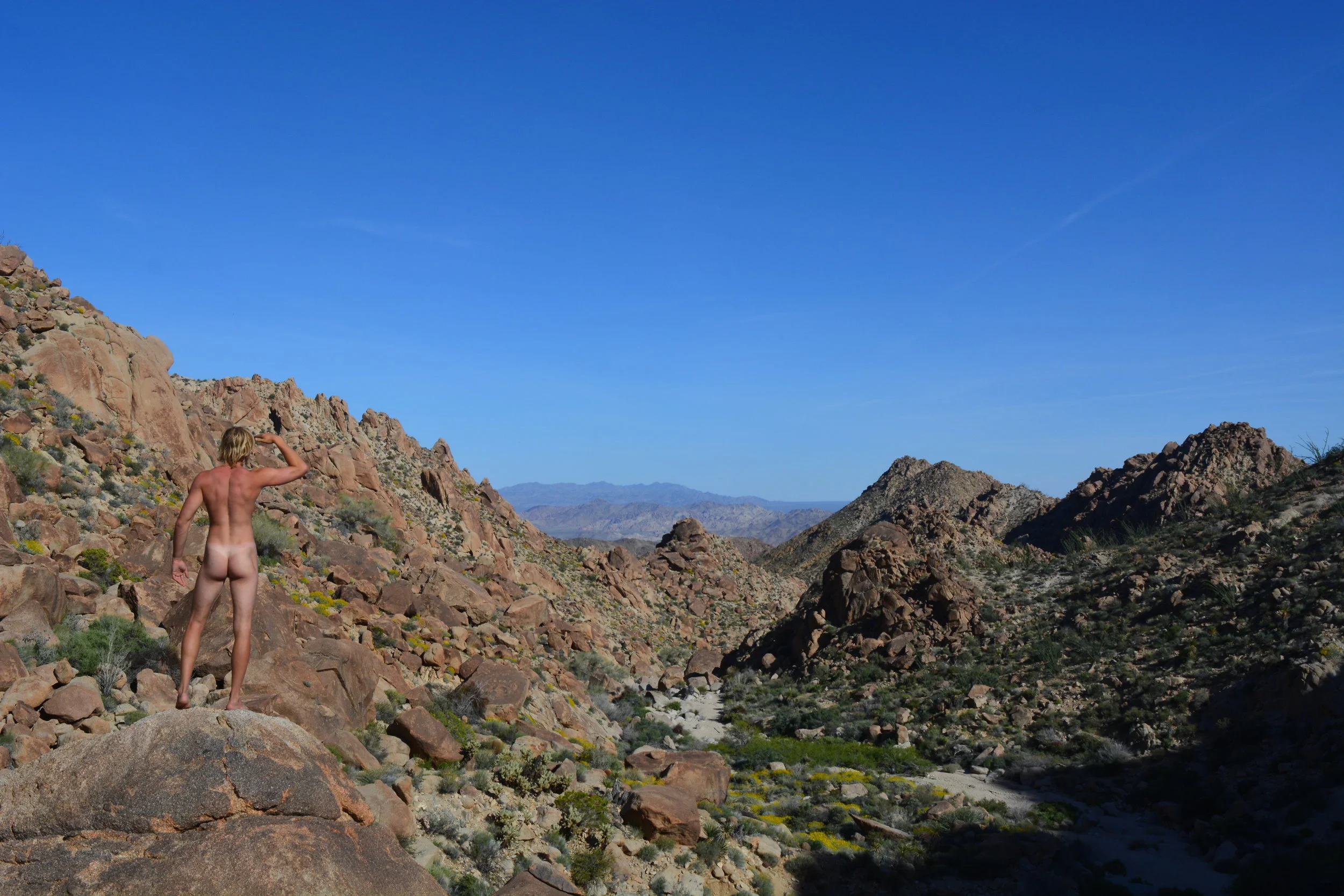 Tweedy_Lookout Valley Sun.JPG