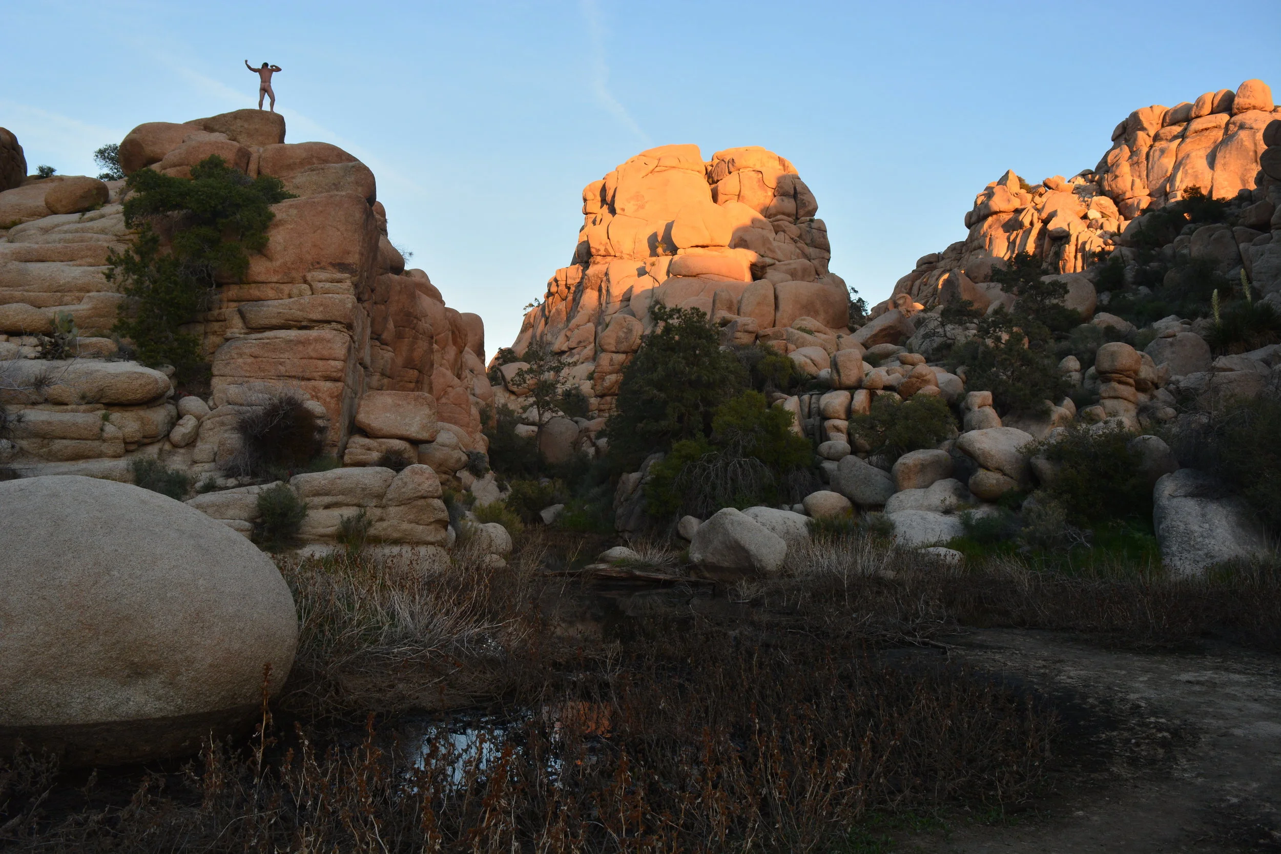 Lincoln_Standing Rock Foreground.JPG
