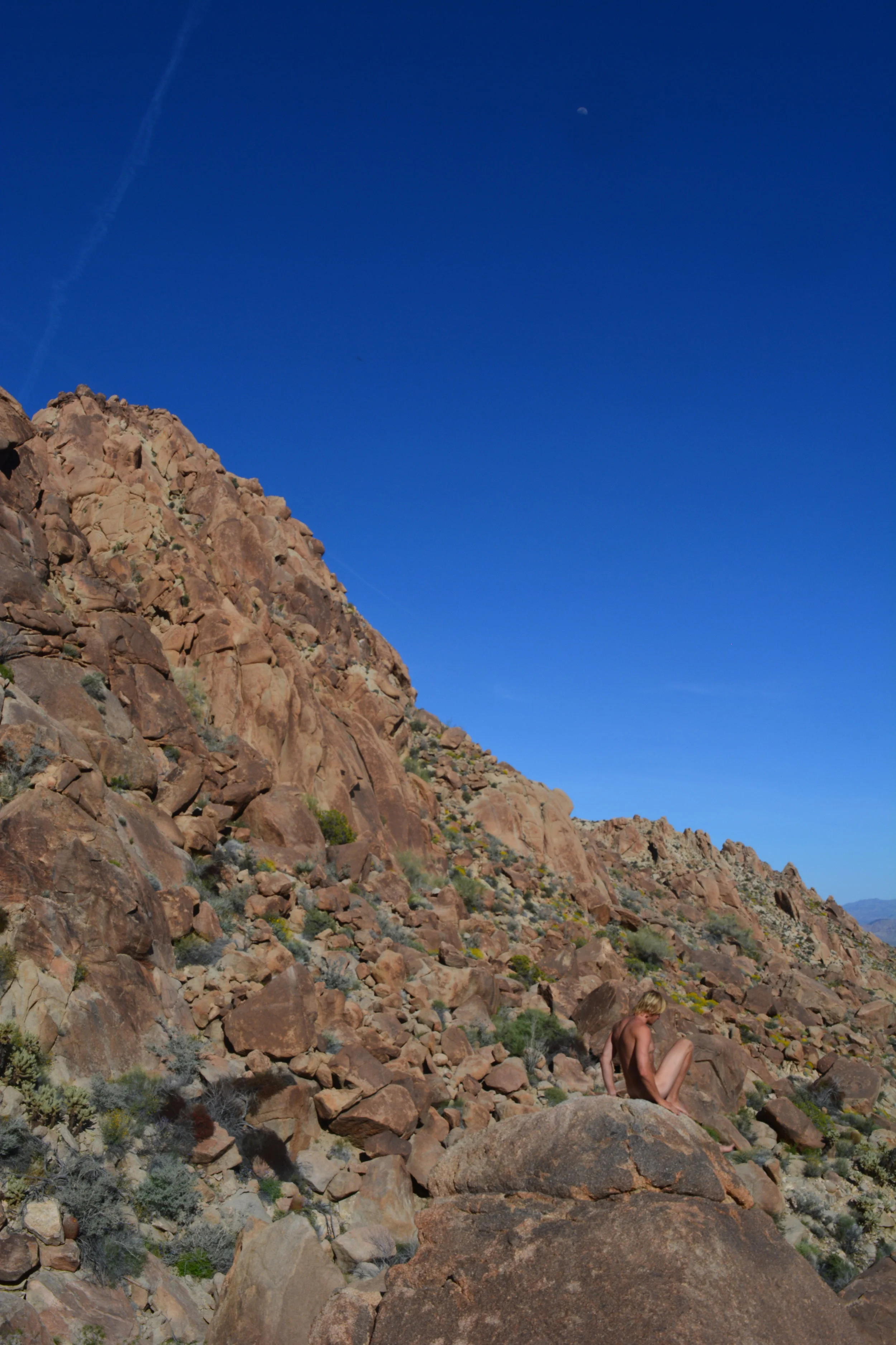 Tweedy_Sitting Contemplating.JPG