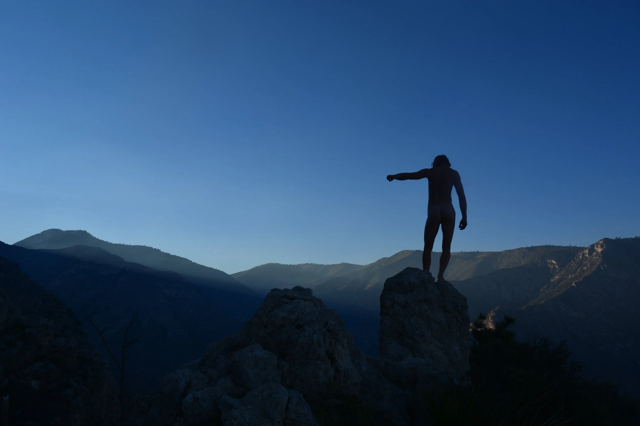 Tweedy Pointing Shadows.JPG