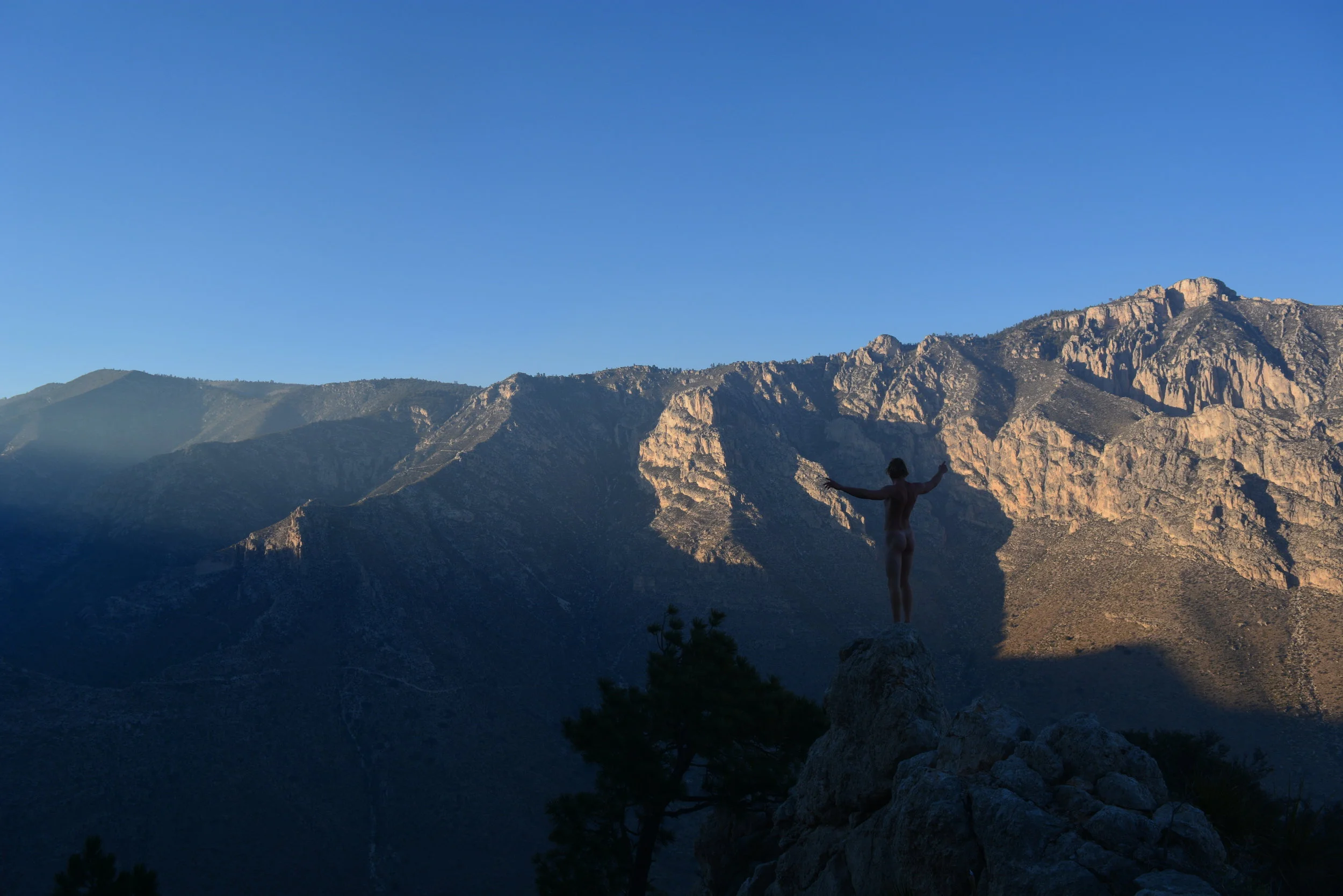 Tweedy Standing View.JPG