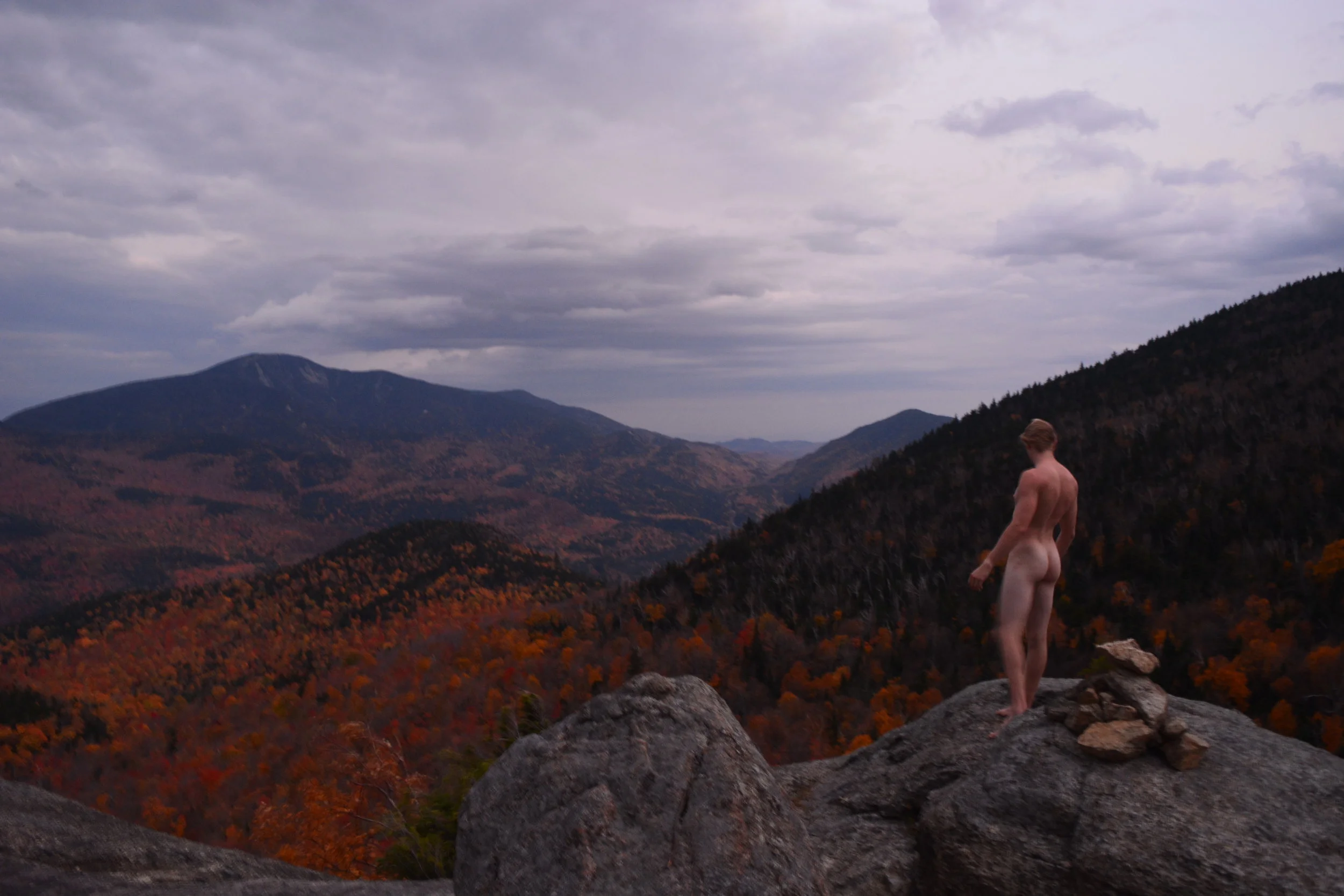 Tweedy Looking Distance.JPG