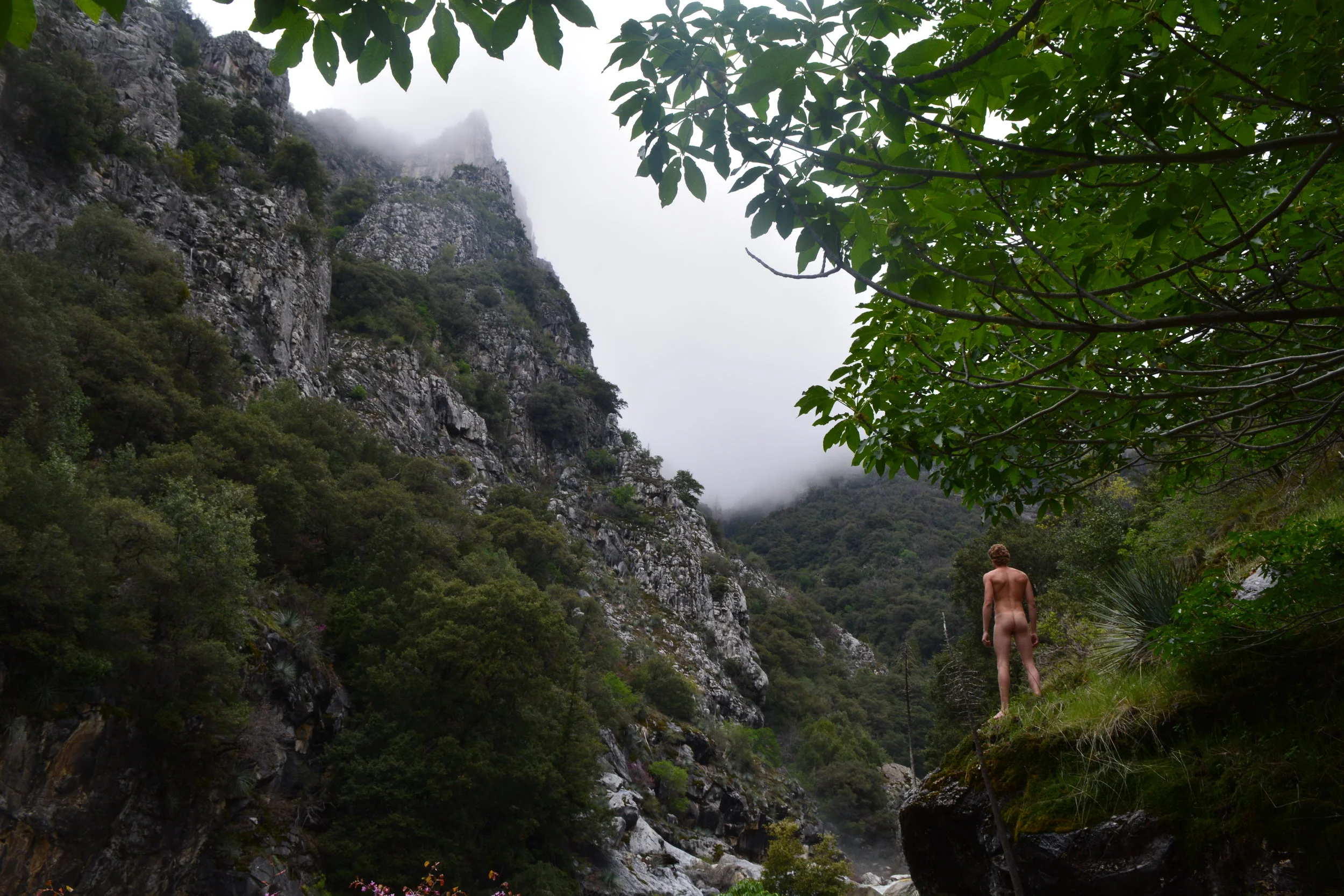 Eric Falls Portrait Canopy.JPG