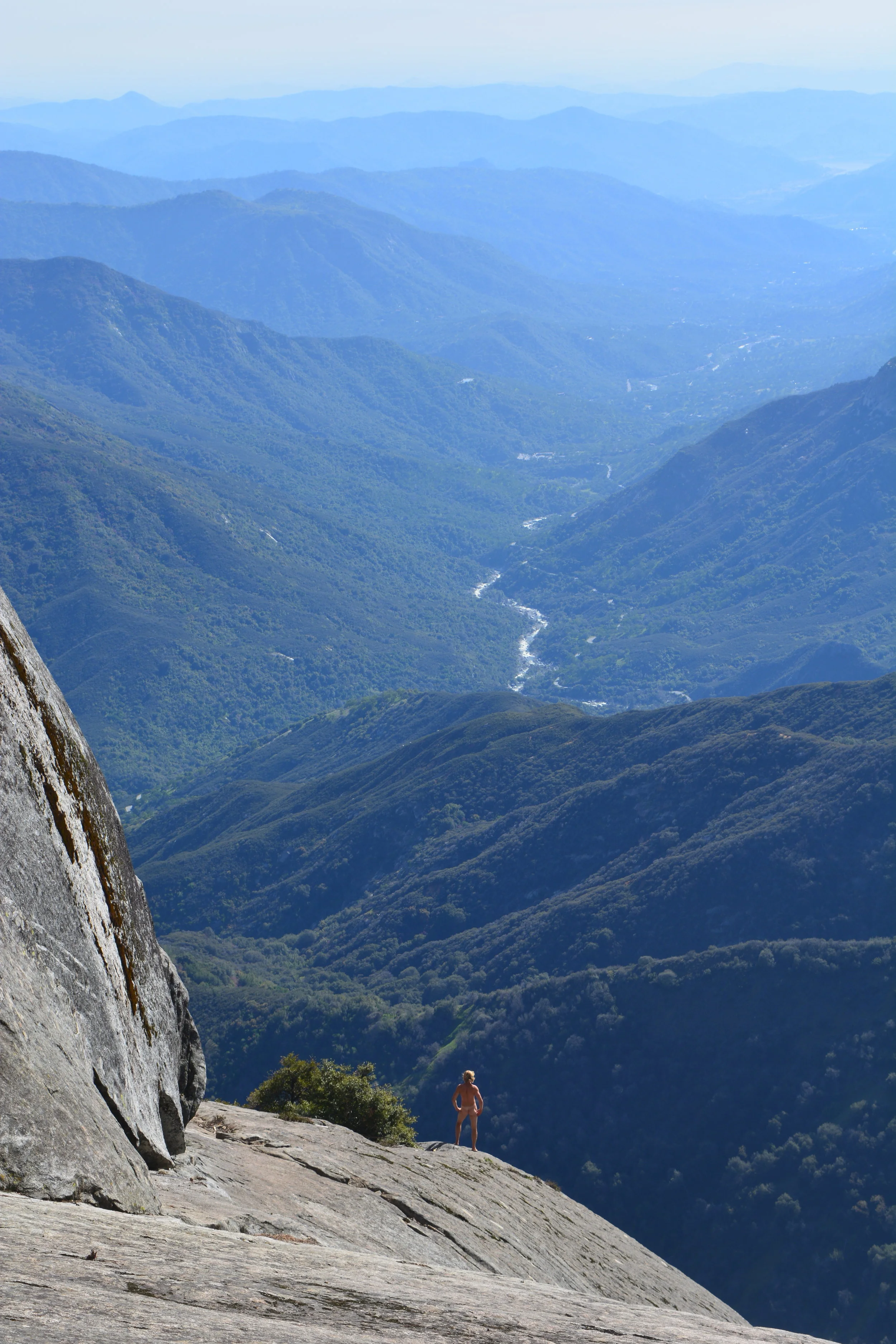 Tweedy Small Tall.JPG