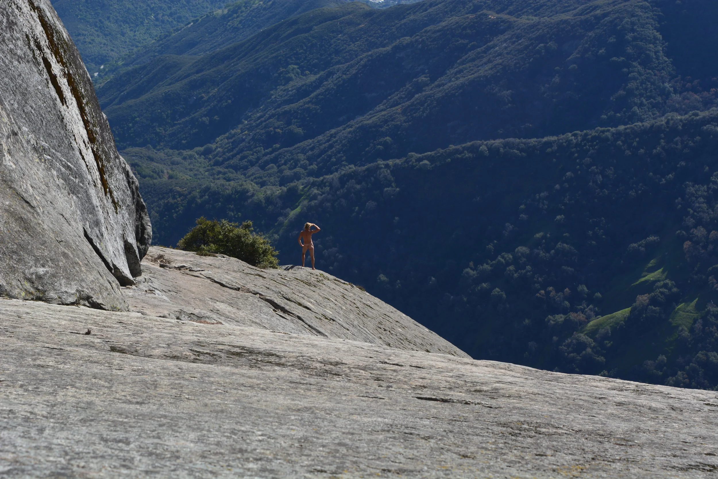 Tweedy Tiny Lookout.JPG