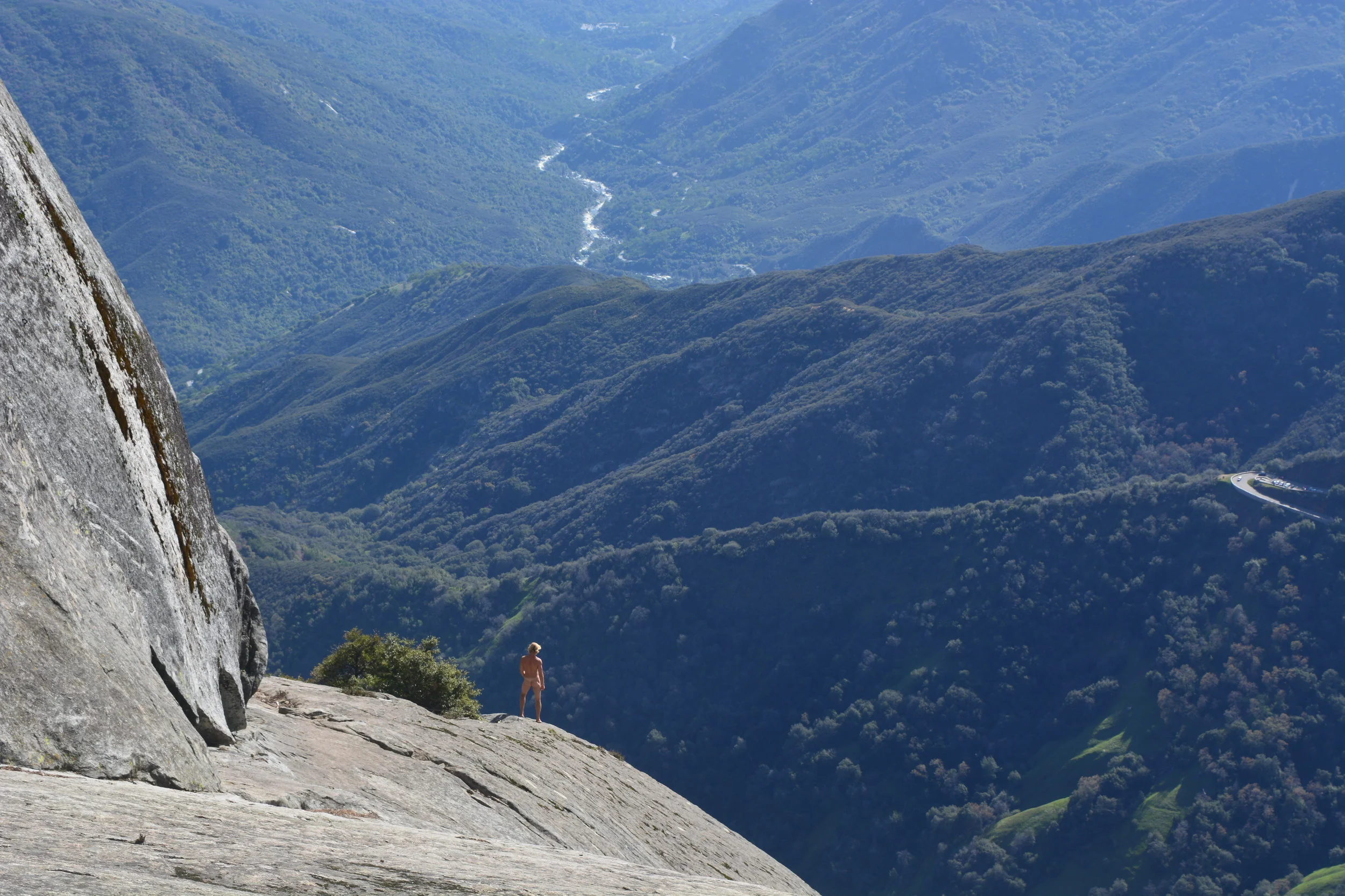 Tweedy Windswept.JPG