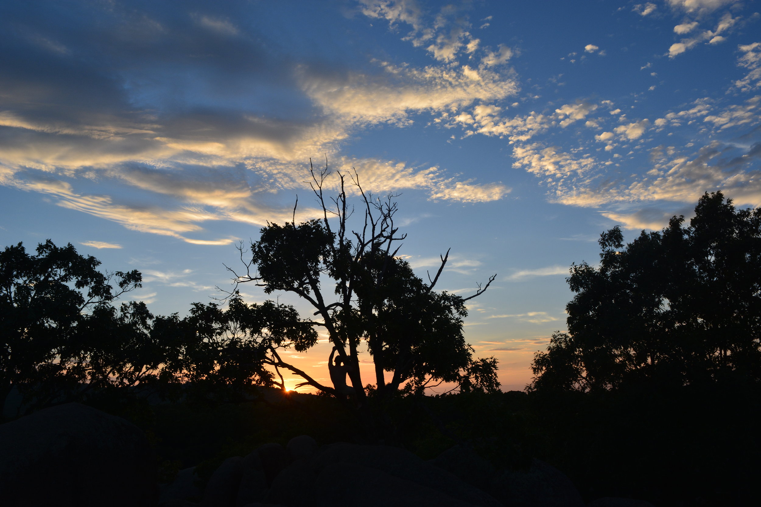 Lincoln MO Tree Climb.JPG
