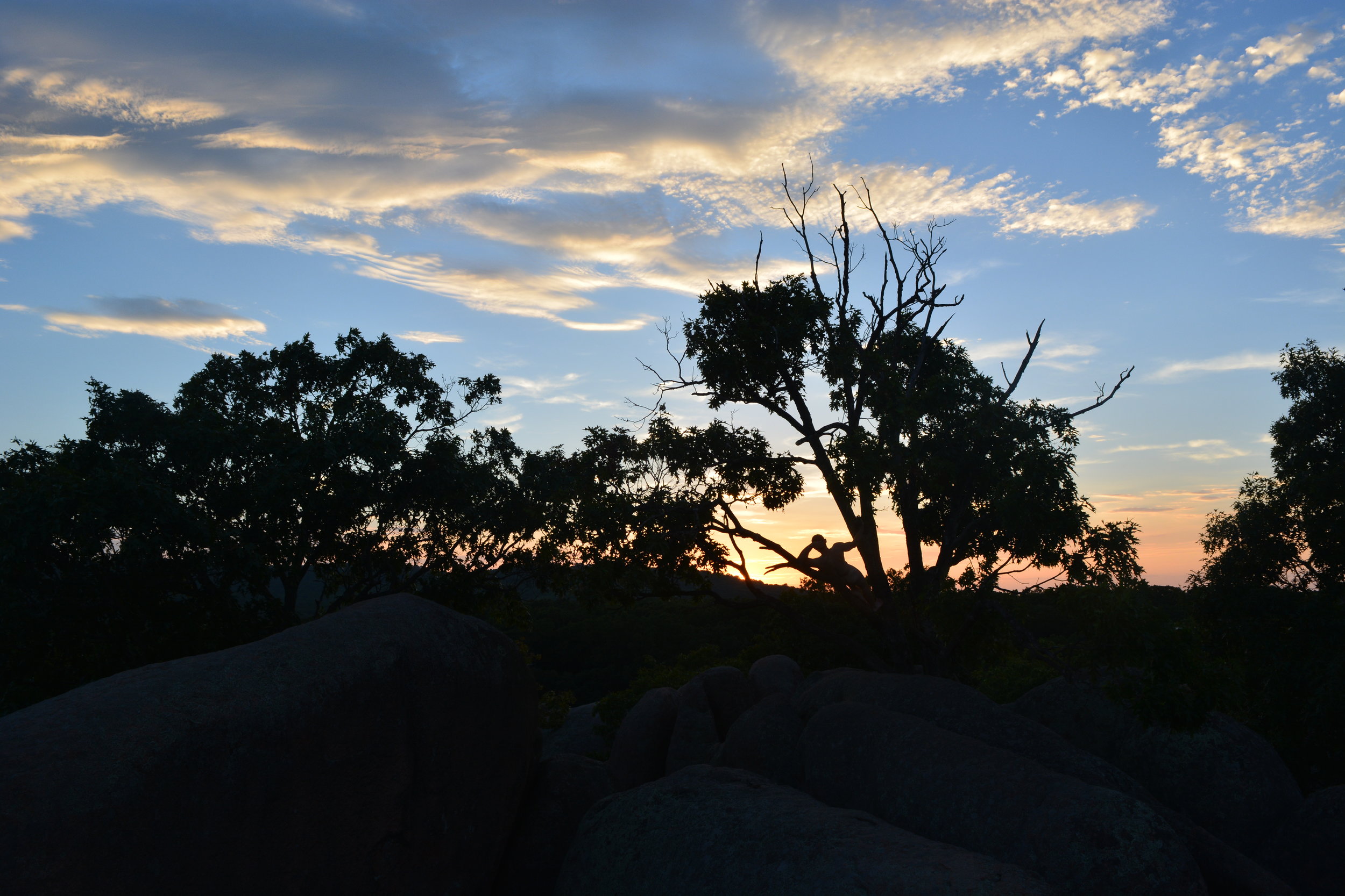 Lincoln MO Tree Lounge.JPG