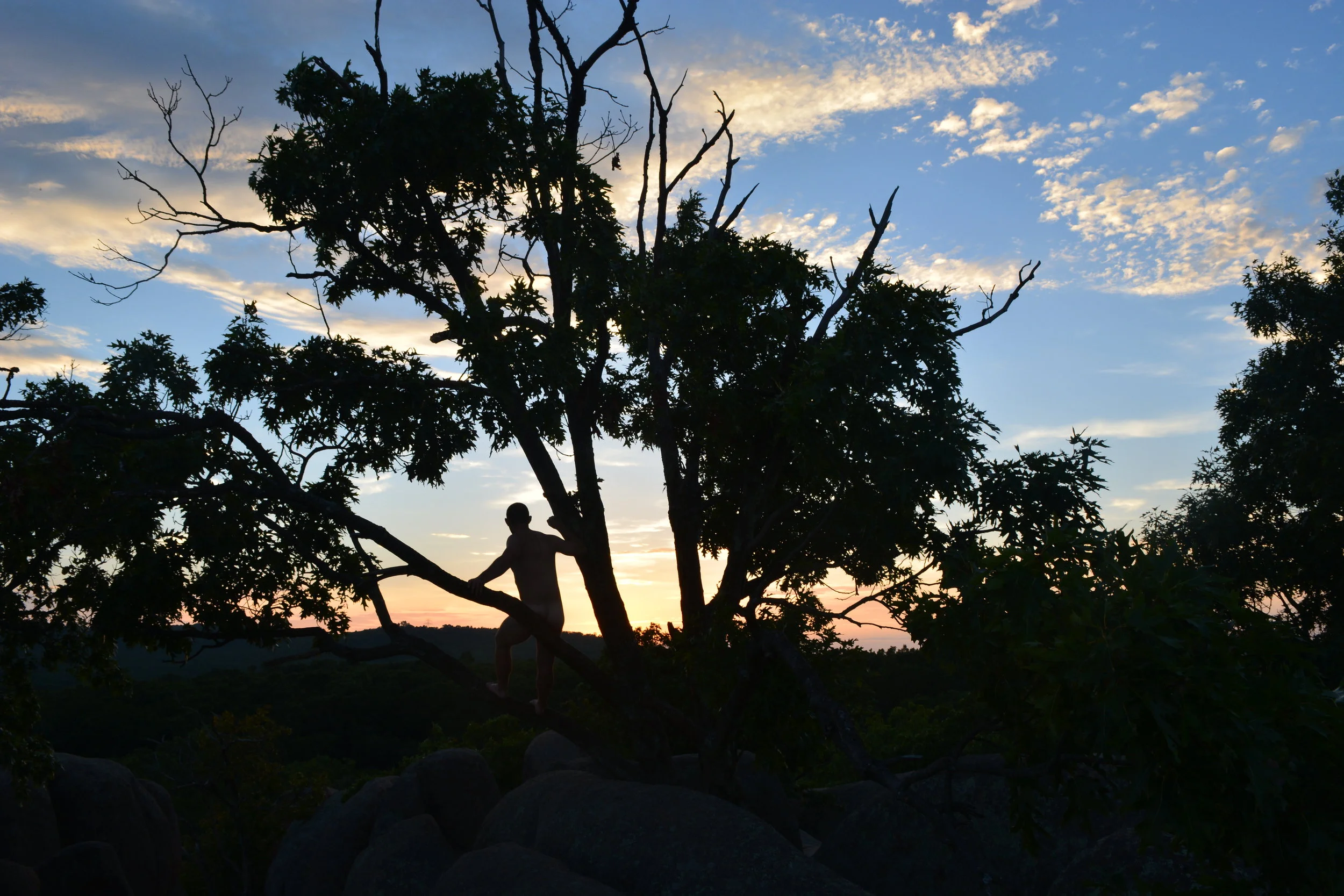 Lincoln MO Tree Sit.JPG