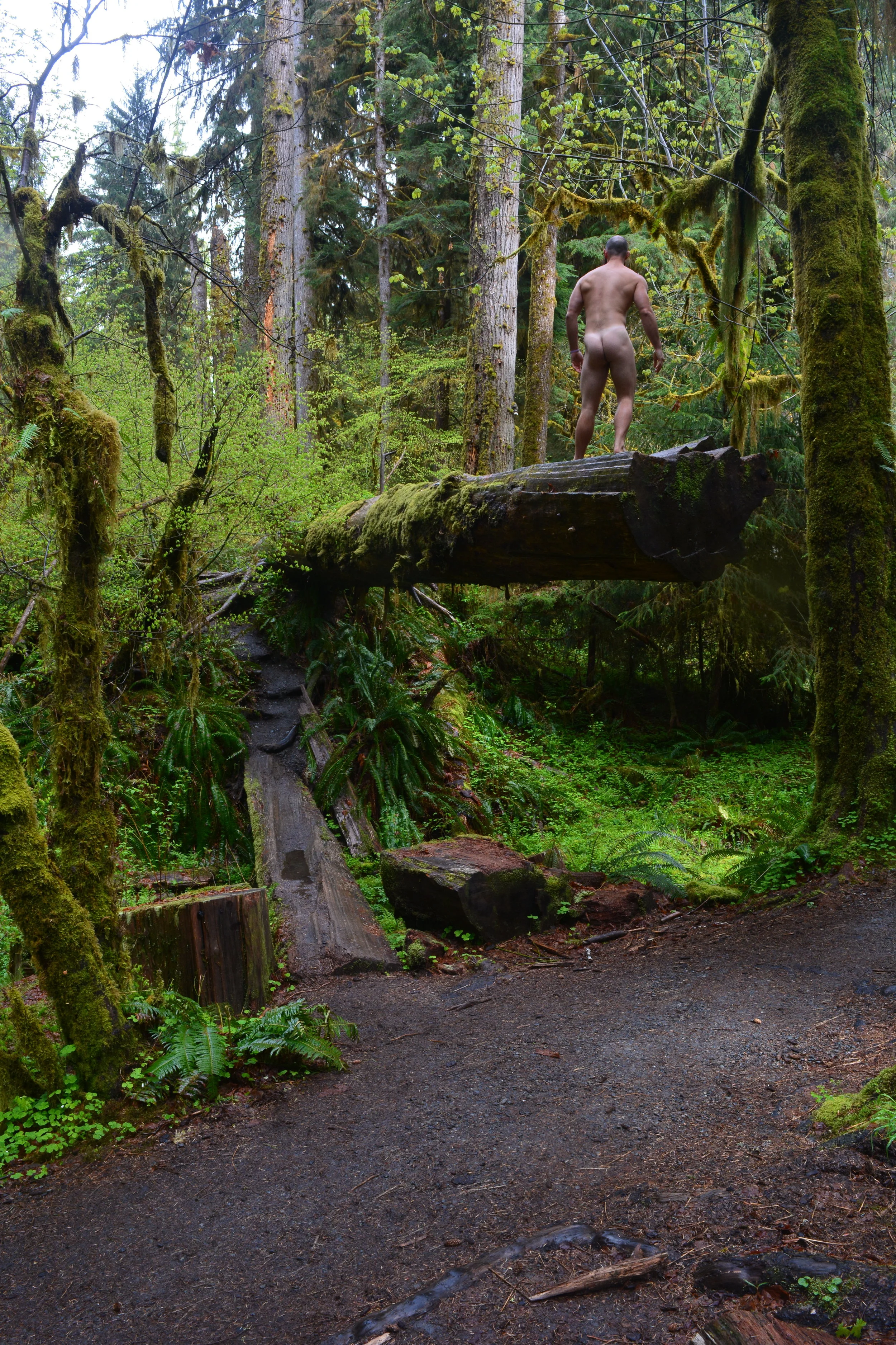 Lincoln Olympia NP Crouch.JPG