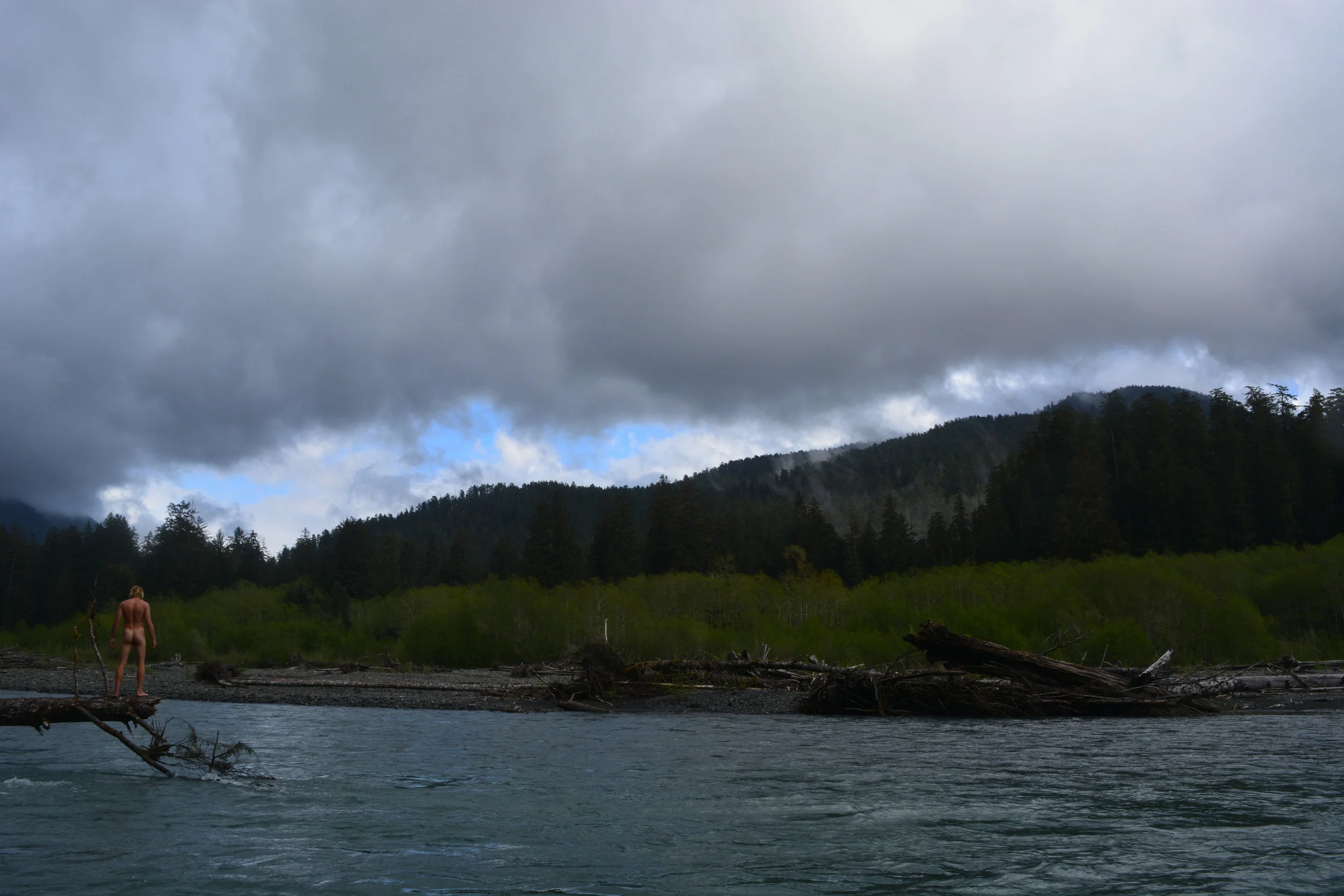 Tweedy Mt Ranier NP Landscape.JPG