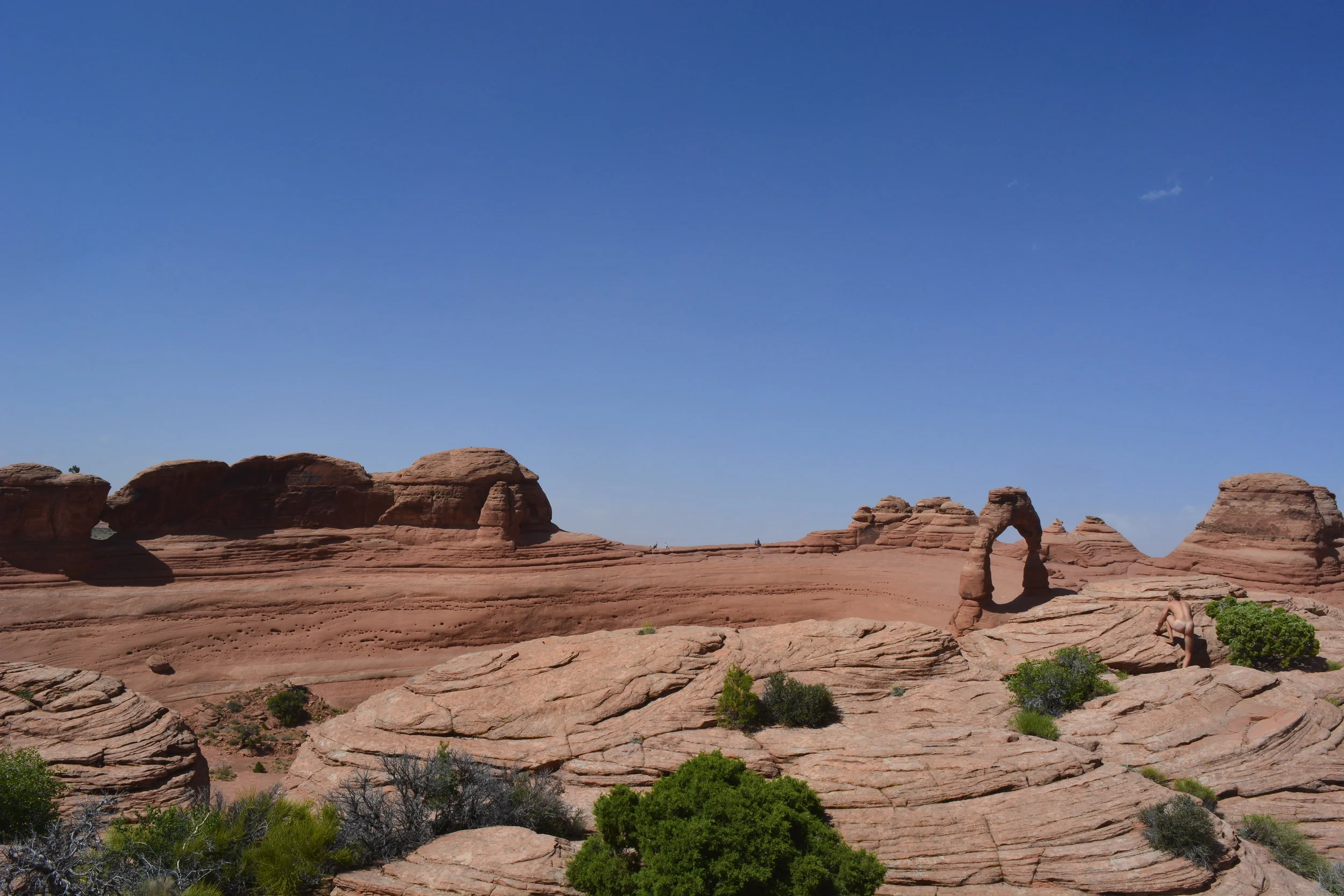 Tweedy Look to Side.JPG