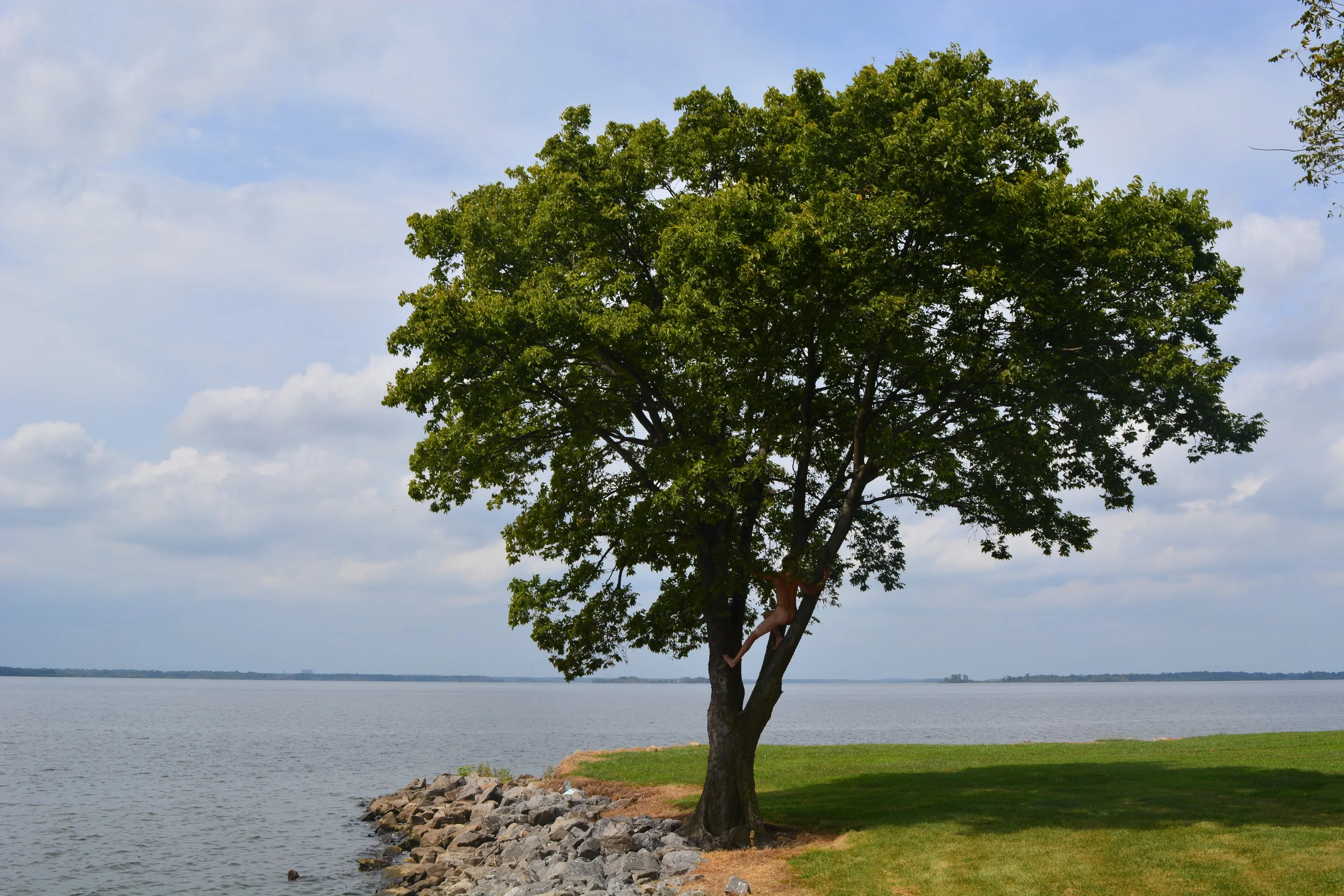 Tweedy Tree Lean.JPG